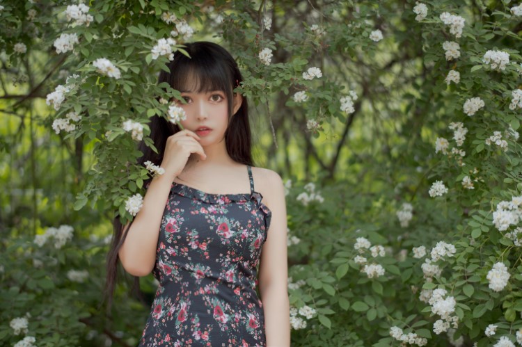 知名动漫博主@黑猫猫OvO – 蔷薇1 [22P/257MB]