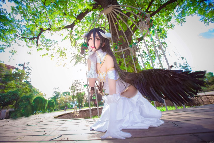 浅野菌子 Overlord 雅儿贝德1 [16P/35MB]