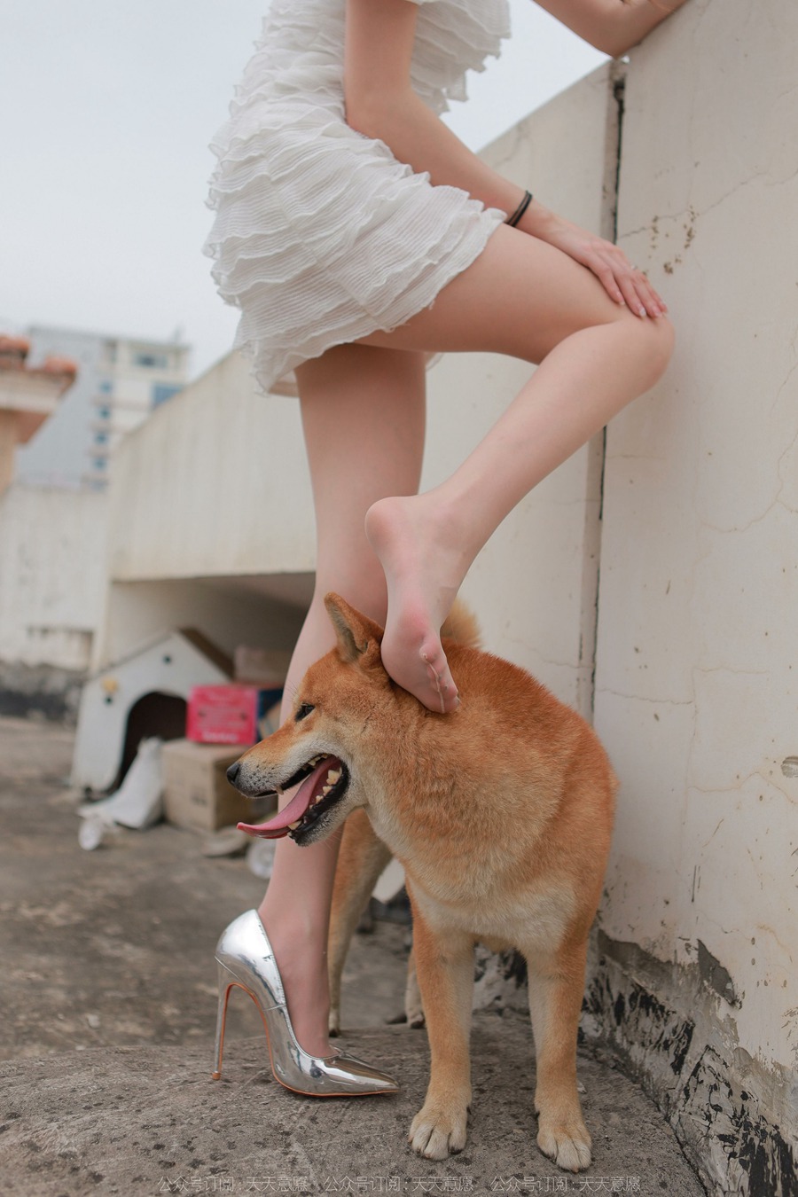 [IESS异思趣向] 耽丝 211206 女神佳爷特辑 [93P/96MB]