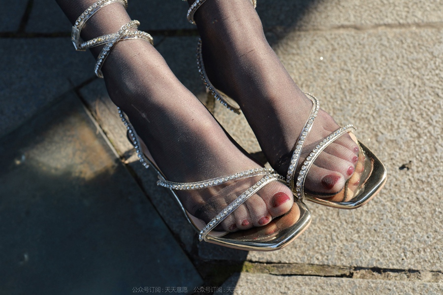 [IESS异思趣向] 耽丝 220109 暖阳下的黑丝团团 [92P/138MB]