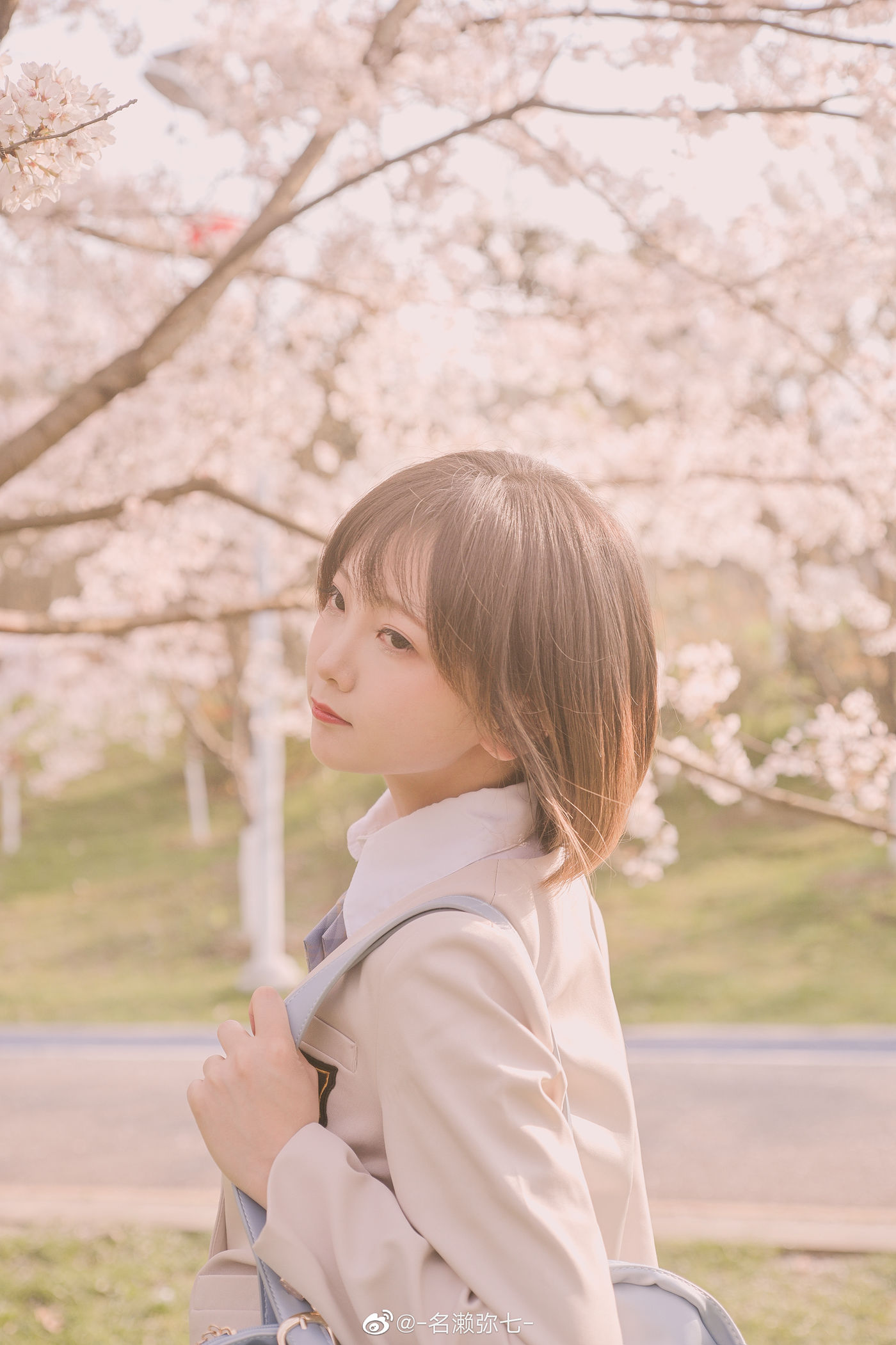 名濑弥七 – 樱花 [14P/83.3MB]