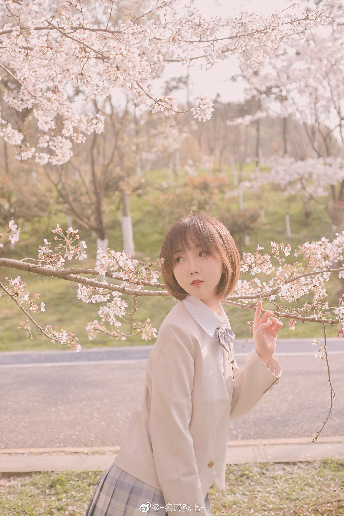 名濑弥七 – 樱花 [14P/83.3MB]