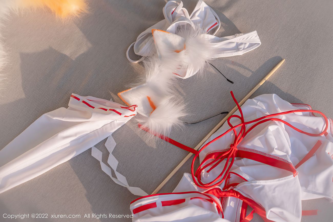 [Xiuren秀人网]2022.05.27 NO.5072 王雨纯[86+1P/842MB]