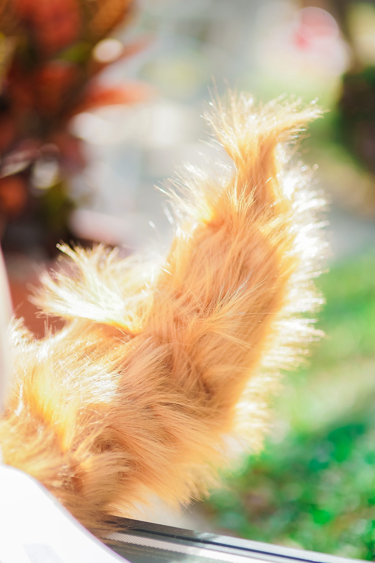 Ely_eee(ElyEE子) - 玉藻前泳池[39P/205MB]