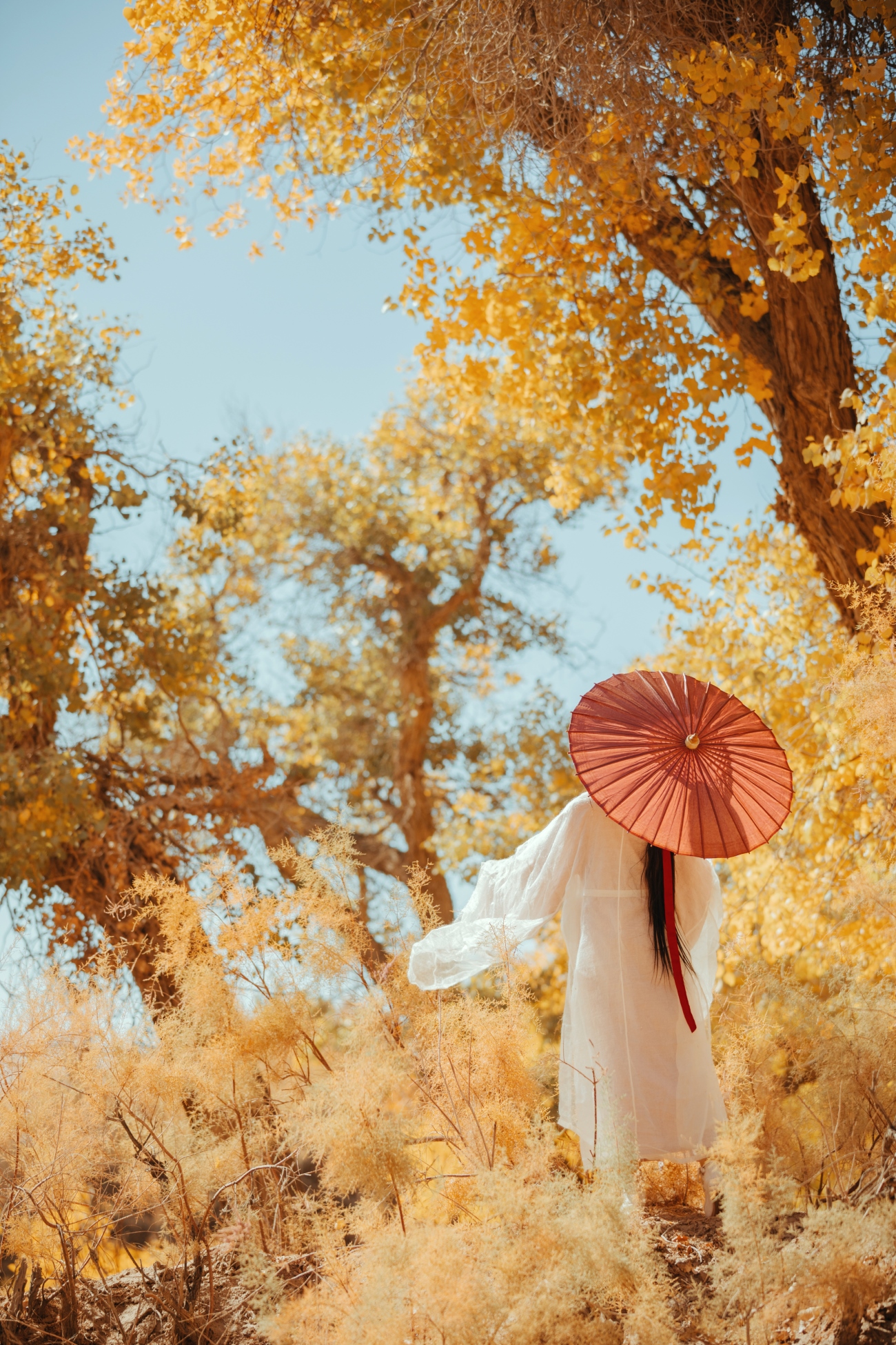 [YITUYU艺图语] 2021.08.16 蒹葭 薄荷 [26P/444MB]