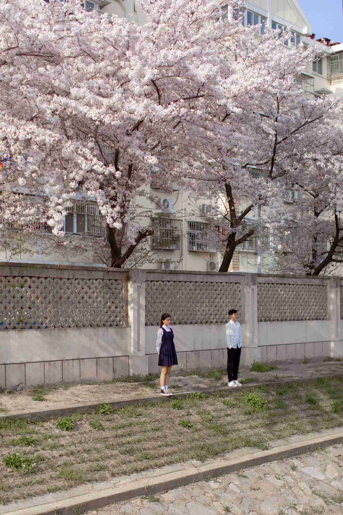 [YITUYU艺图语] 2021.09.02 粉樱花语 模特合集 [28P/344MB]