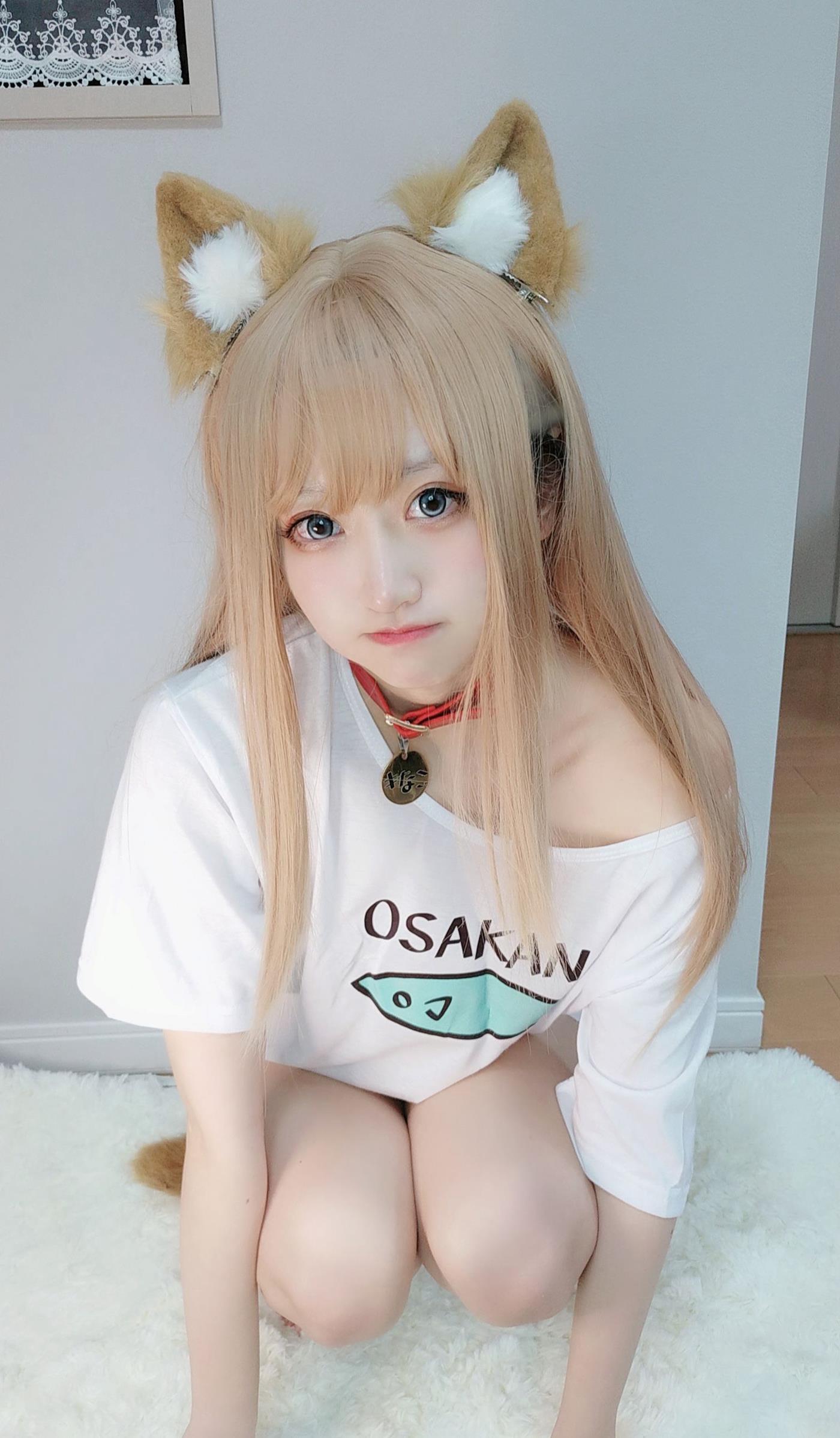 千阳(ちよ) - 40原设猫猫[13P/15MB]