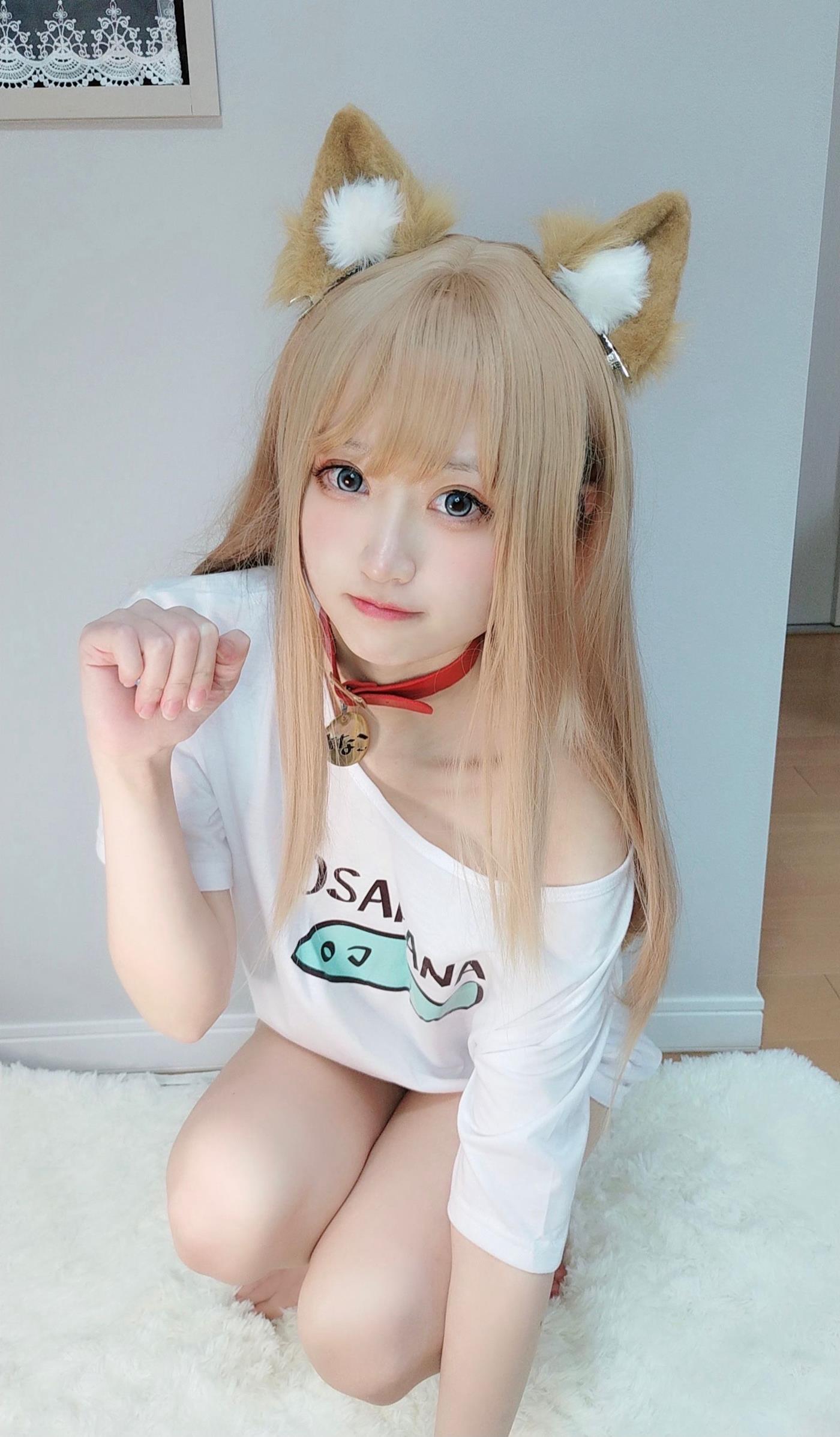 千阳(ちよ) - 40原设猫猫[13P/15MB]