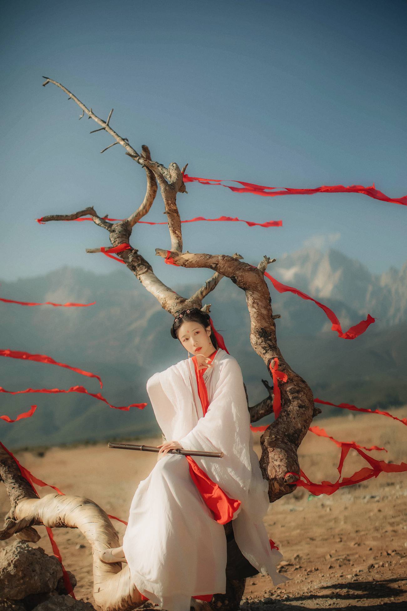 [YITUYU艺图语] 2021.11.05 红妆 流韶 [20P/331MB]