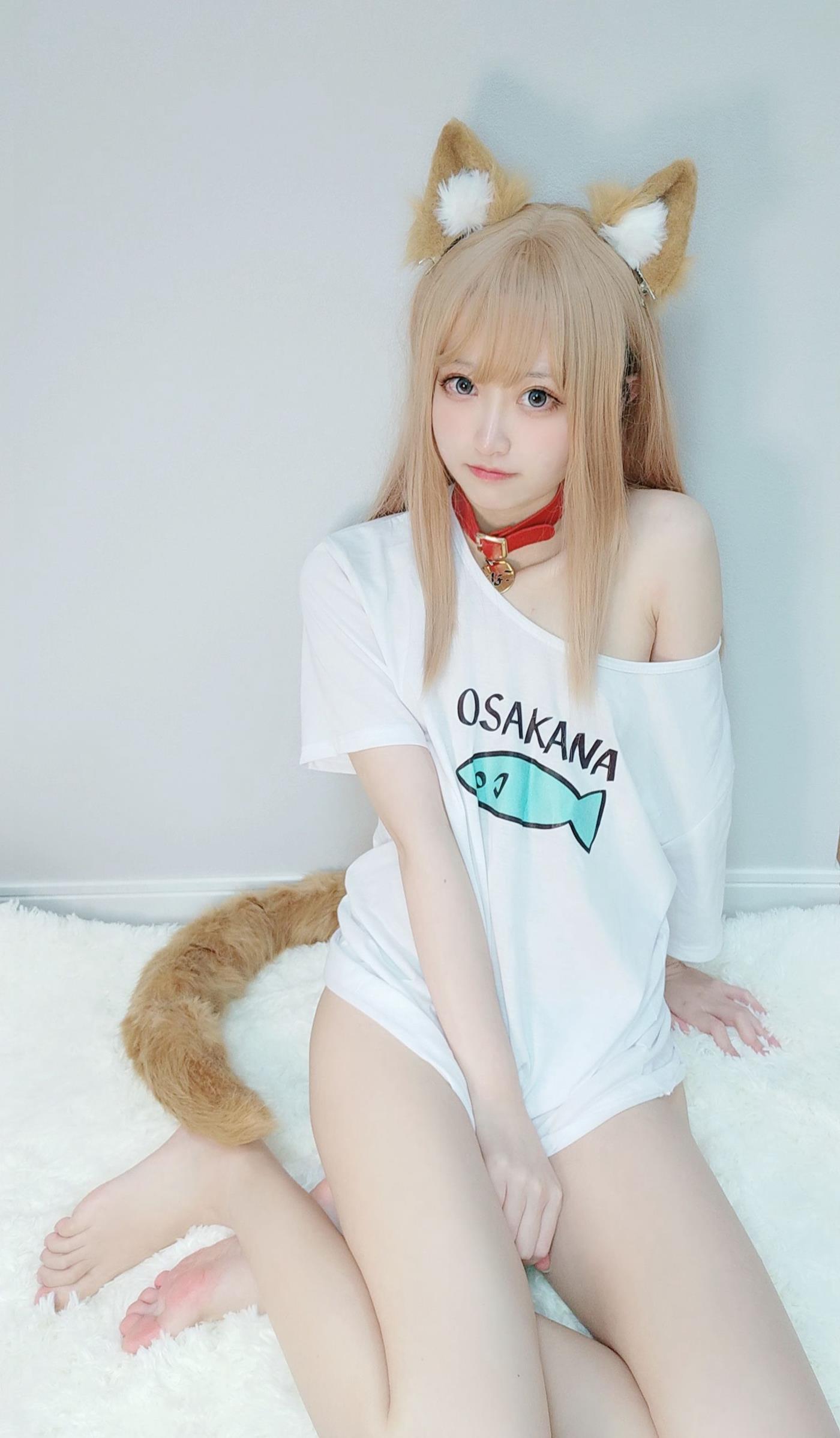 千阳(ちよ) - 40原设猫猫[13P/15MB]