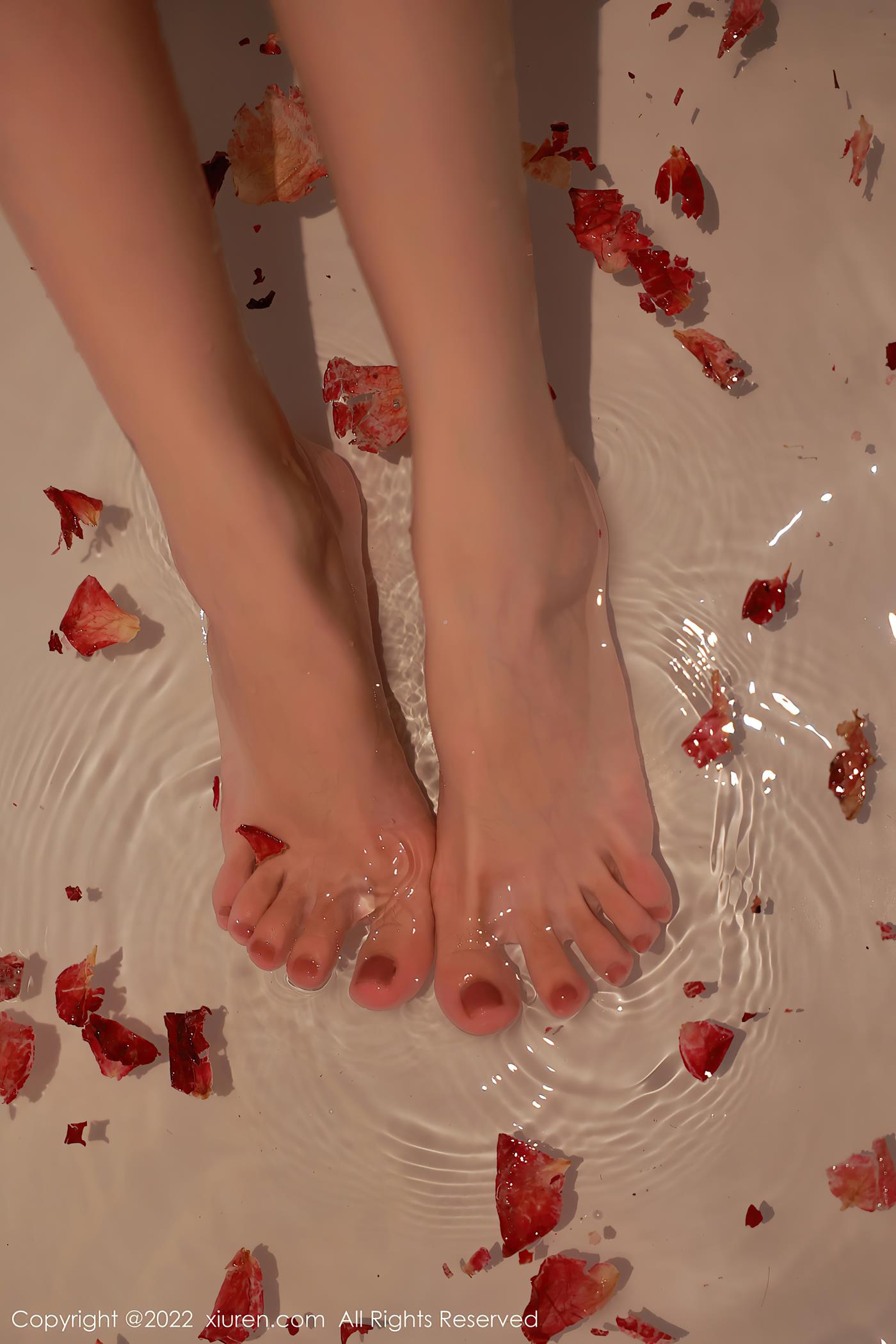 [Xiuren秀人网]2022.10.09 NO.5682 Hebe韩心雨 [63+1P/649MB]