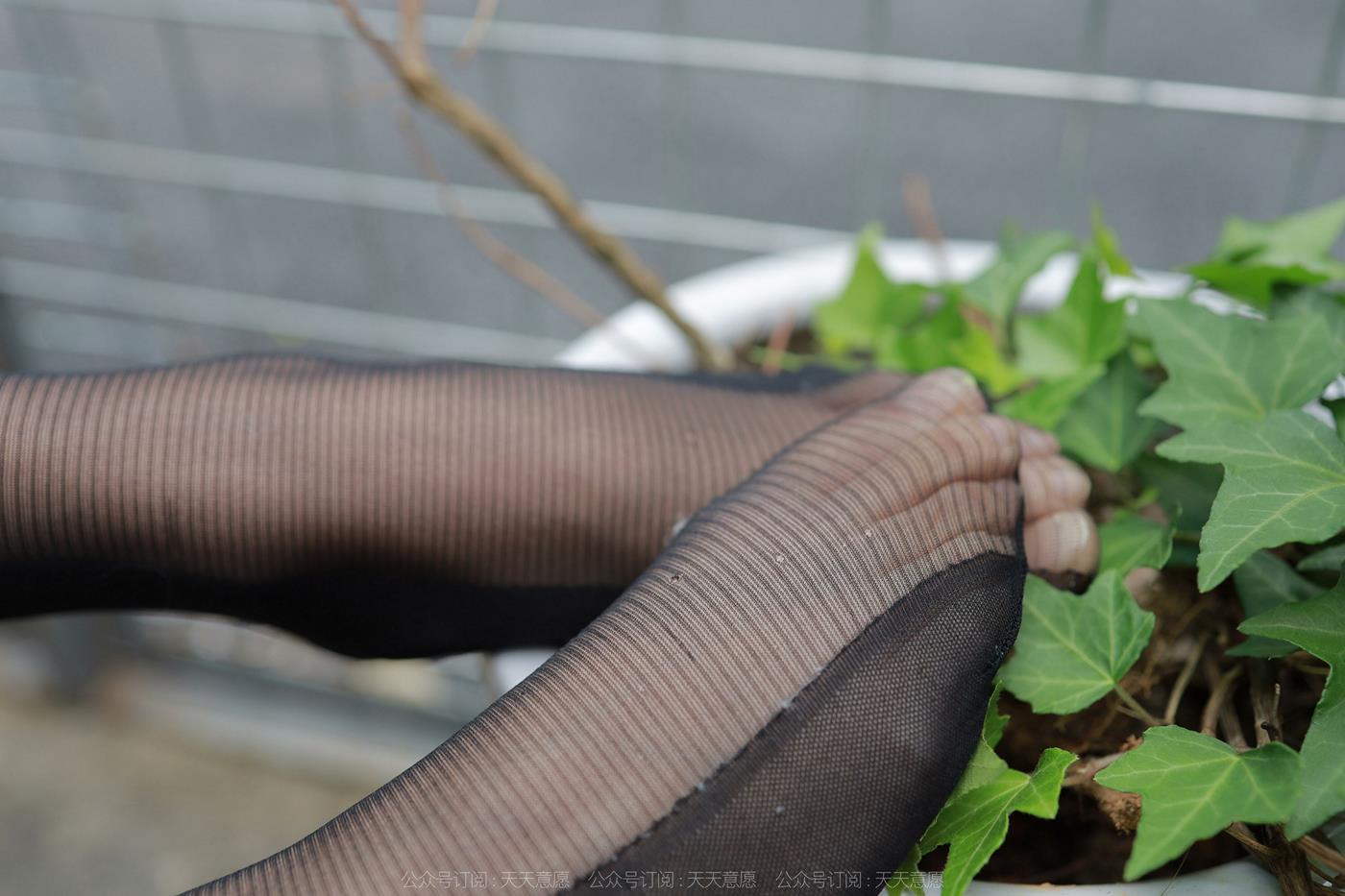 [IESS异思趣向] 2022.05.23 丝享家1096：婉萍《黑丝女司机》[83P/129MB]