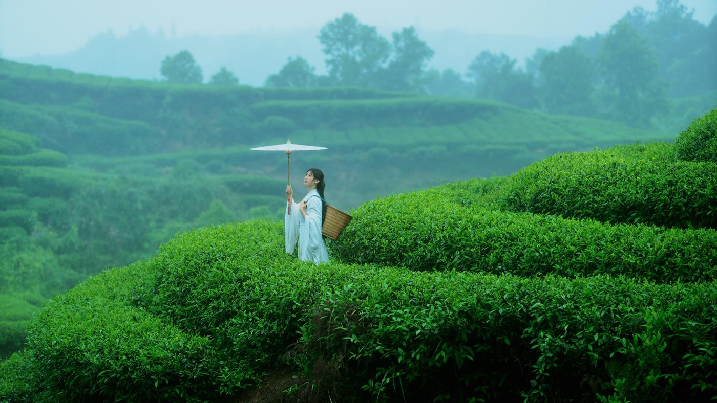 [YITUYU艺图语] 2021.12.24 空山灵雨 初茶 [27P/433MB]