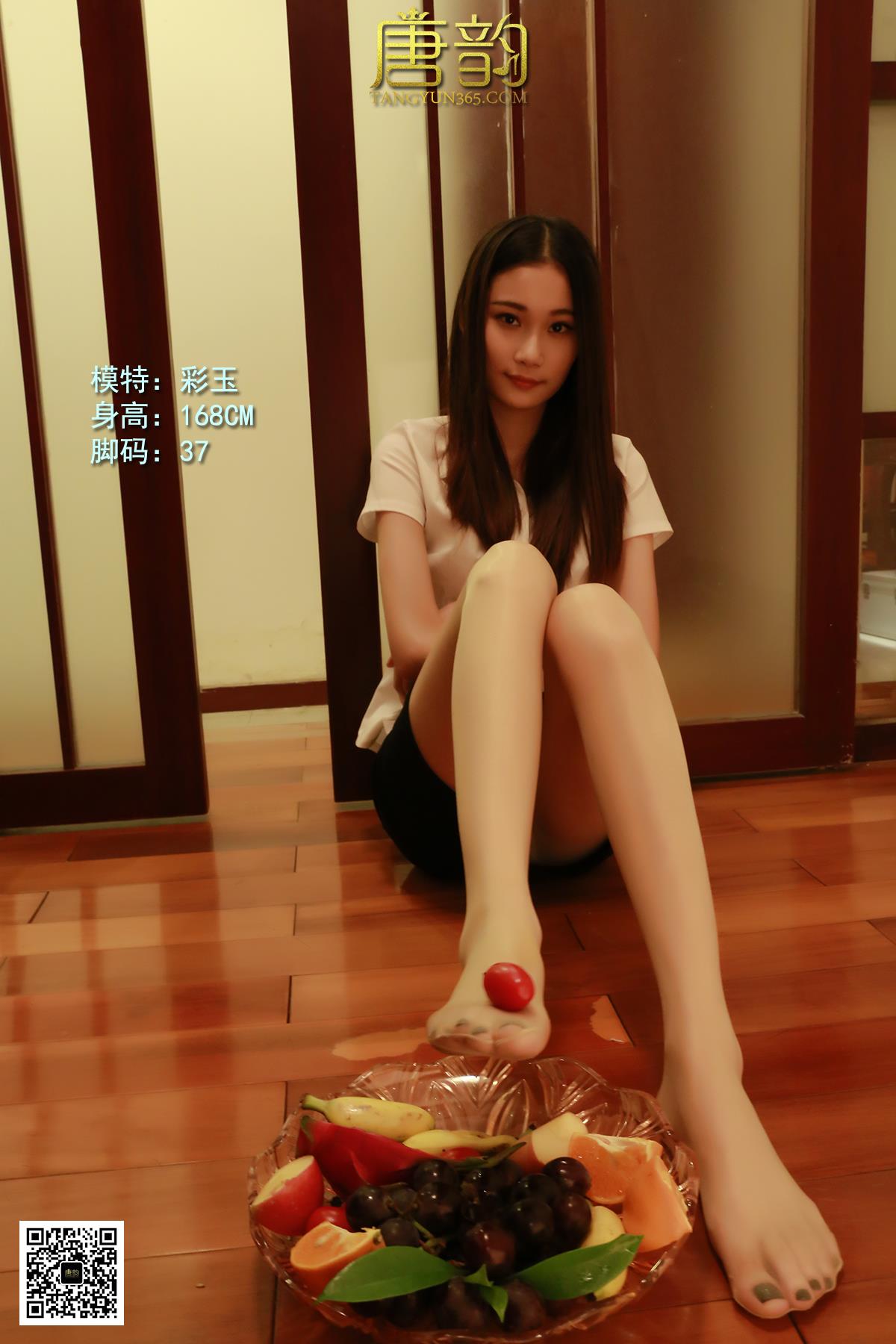 唐韵 年费/永久专享合辑打包下载（此合辑持续更新）