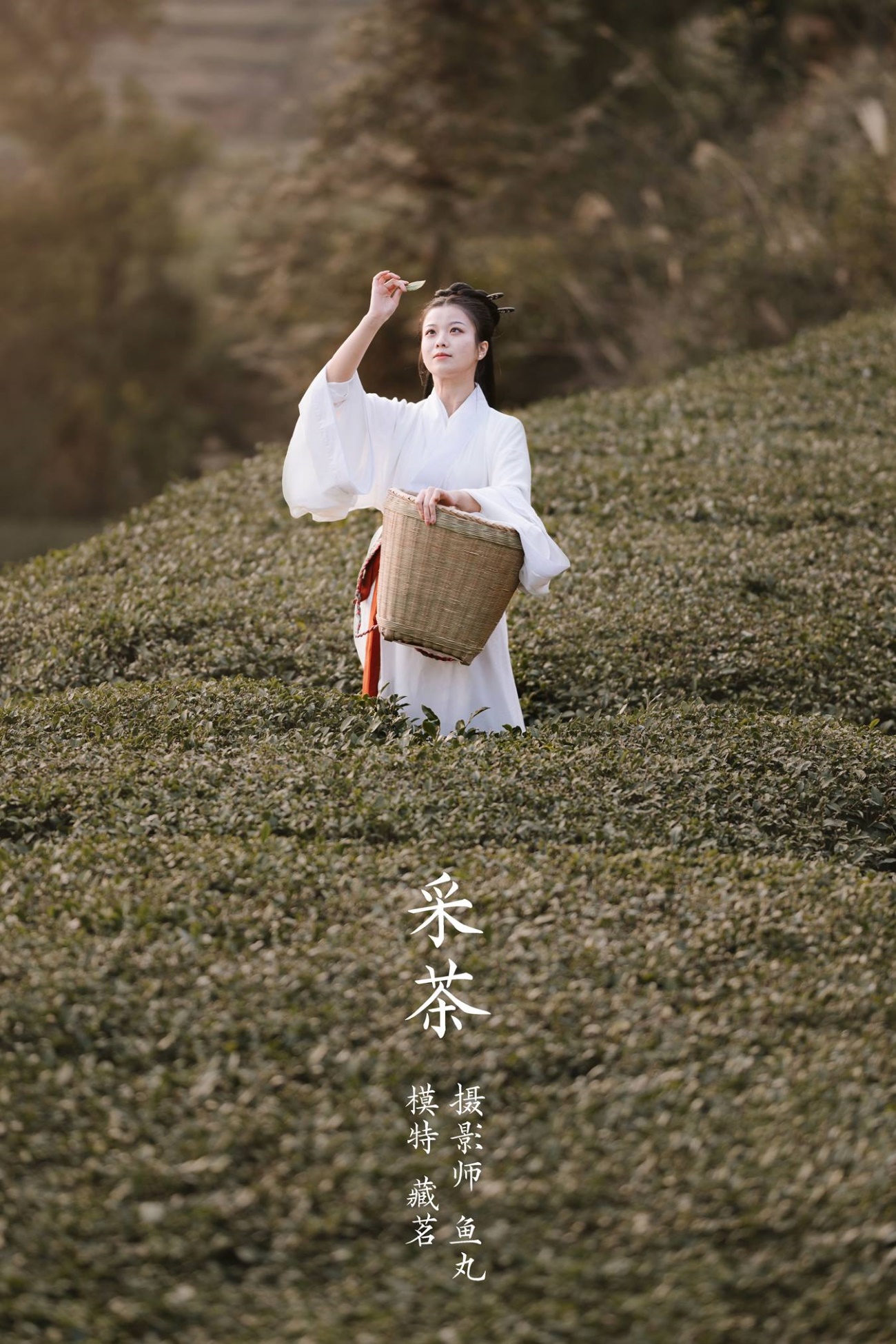 [YITUU艺图语] 2022.03.08 采茶 藏茗 [31P/276MB]