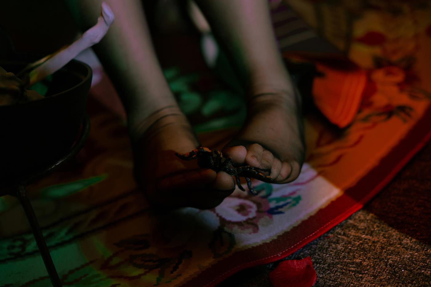 日奈娇 - 孟菲斯[25P/413MB]