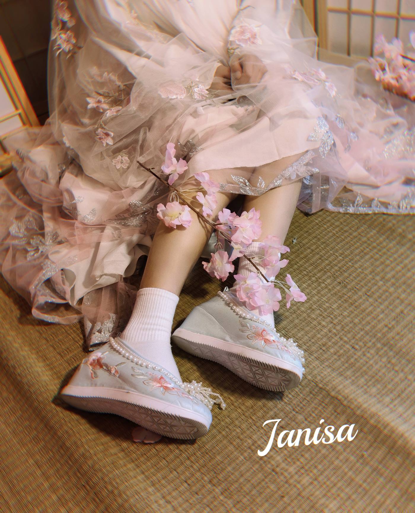 Janisa 朝花向晚 [22P/146MB]