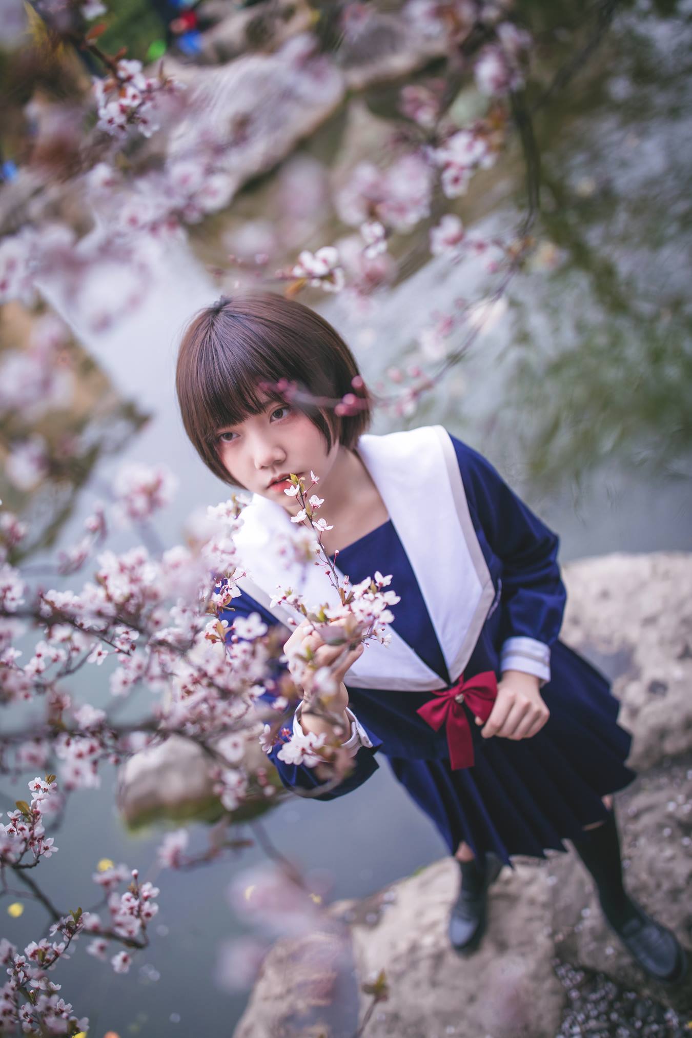 [YITUU艺图语] 2022.04.15 樱花树下 灰猫 [20P/444MB]