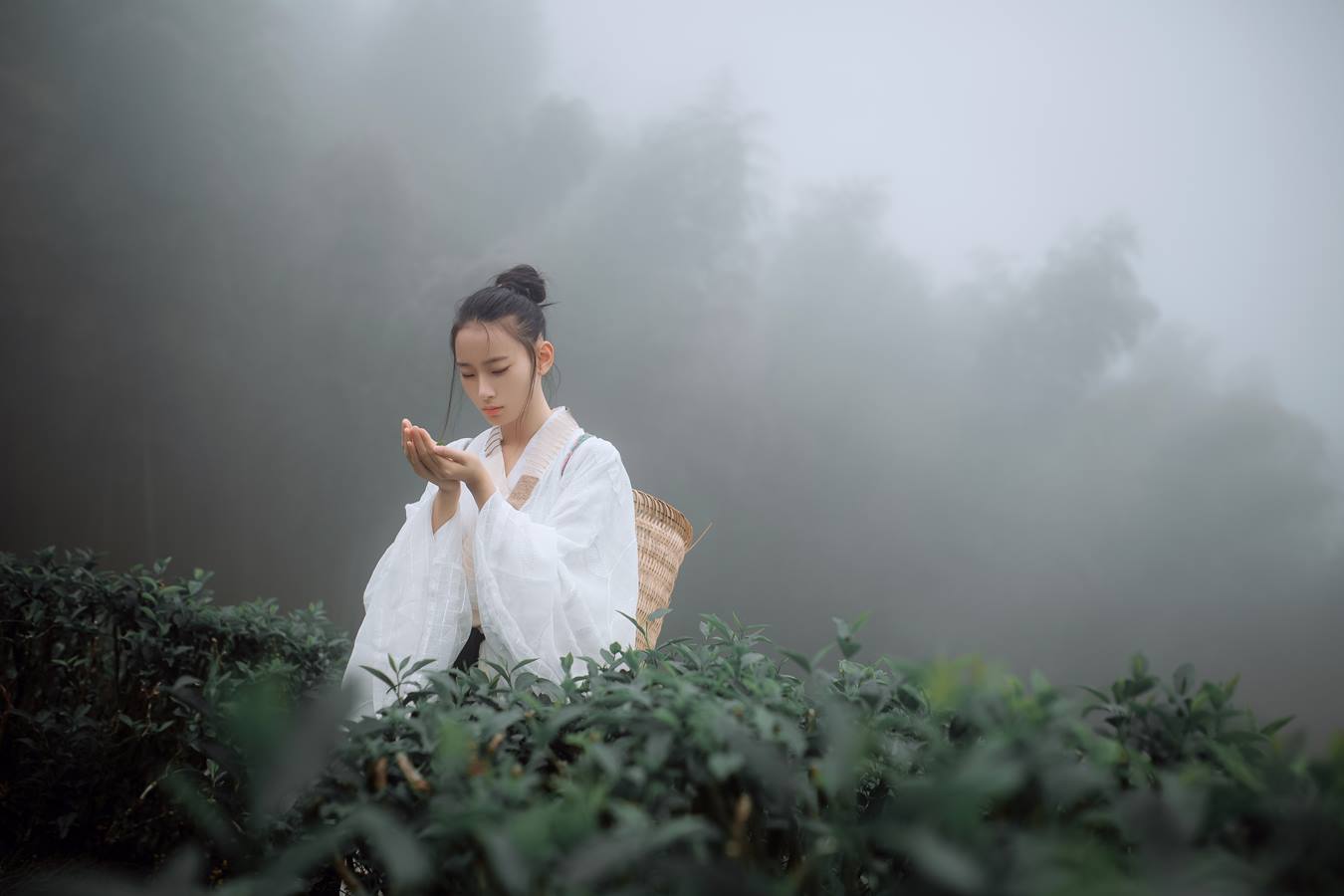 [YITUU艺图语] 2022.04.12 采茶纪 叶初婳 [23P/236MB]