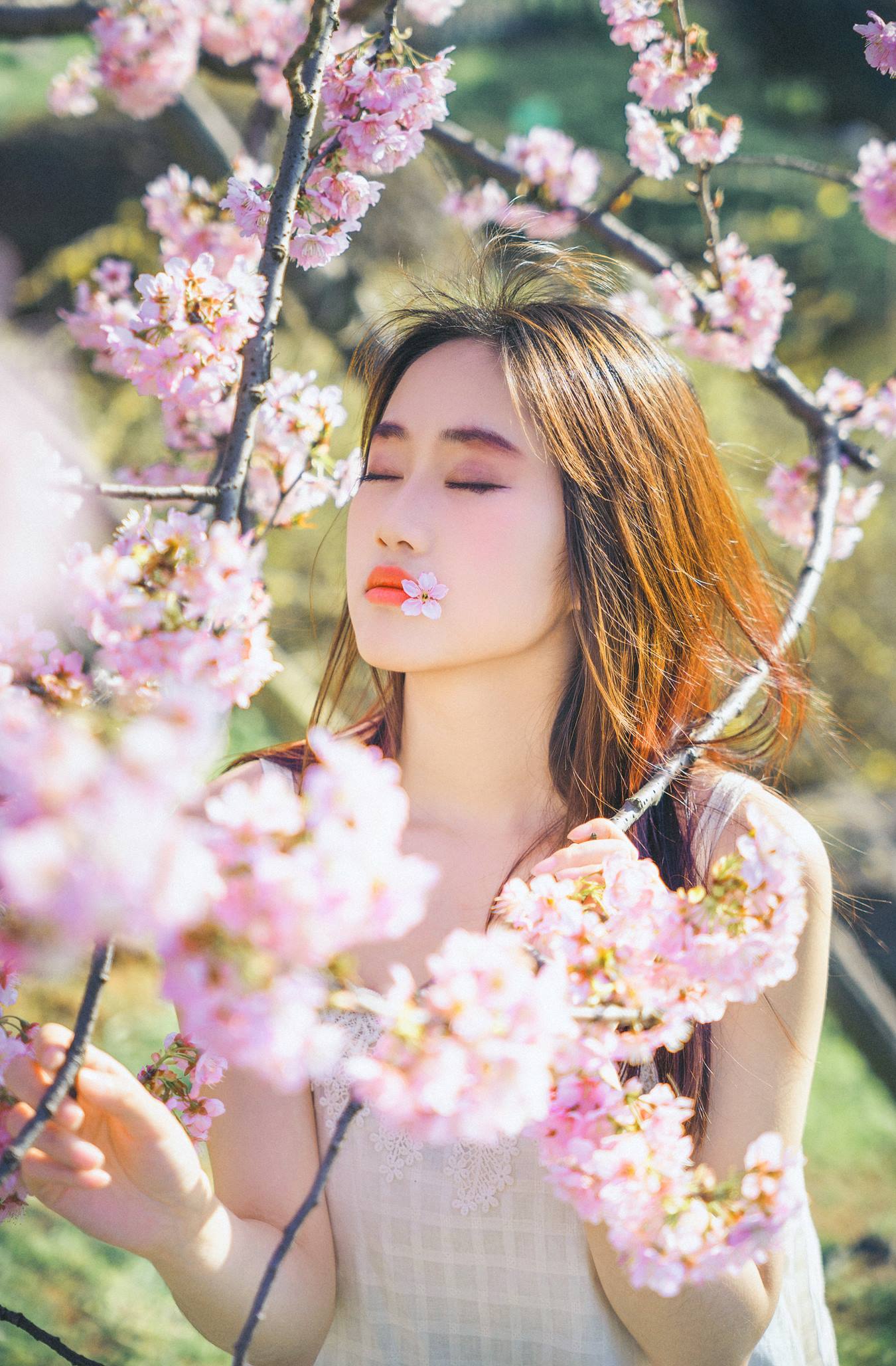 [YITUU艺图语] 2022.04.20 樱花物语 乐乐 [22P/360MB]