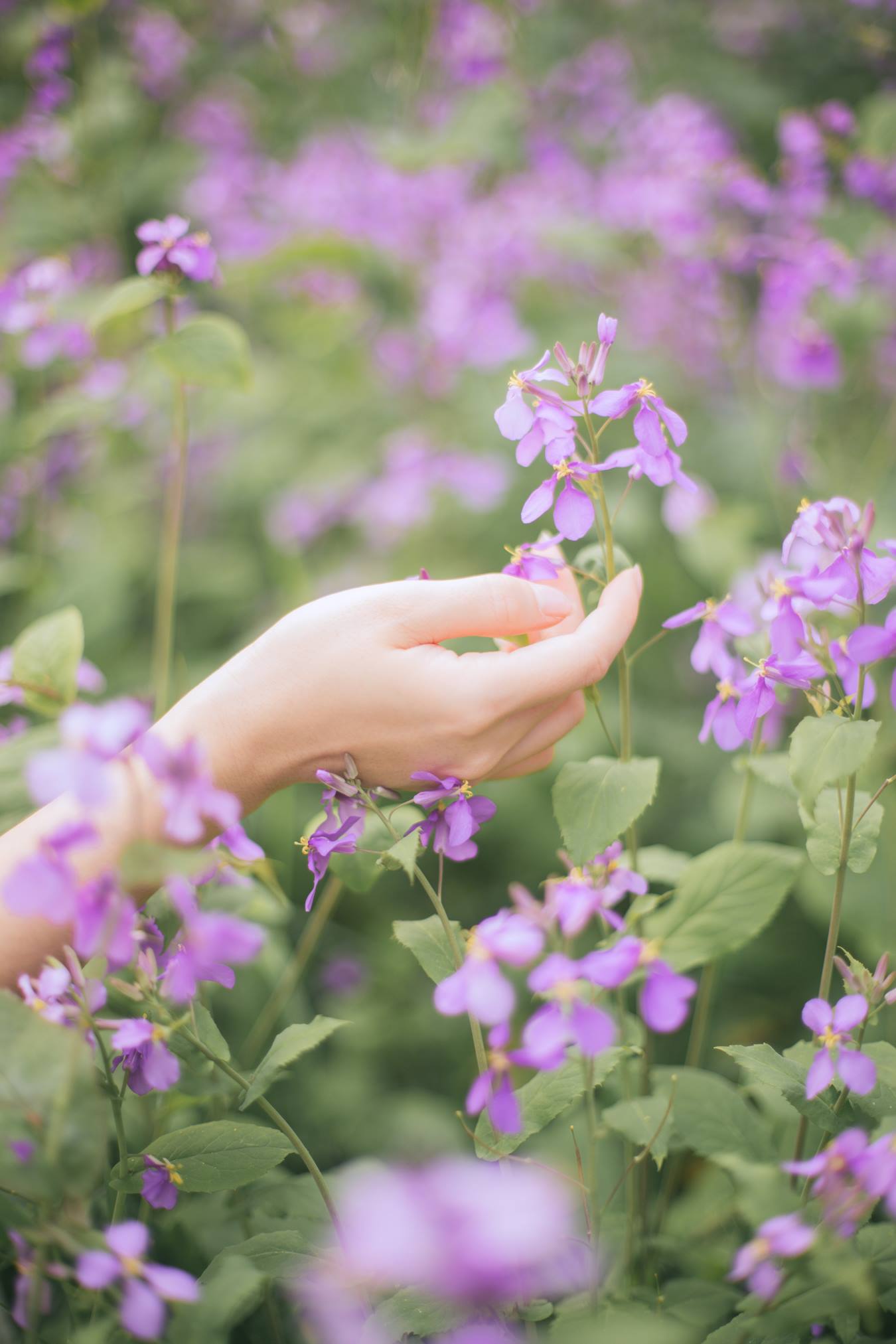 [YITUU艺图语] 2022.04.14 One day in spring 我是金儿呀 [33P/196MB]