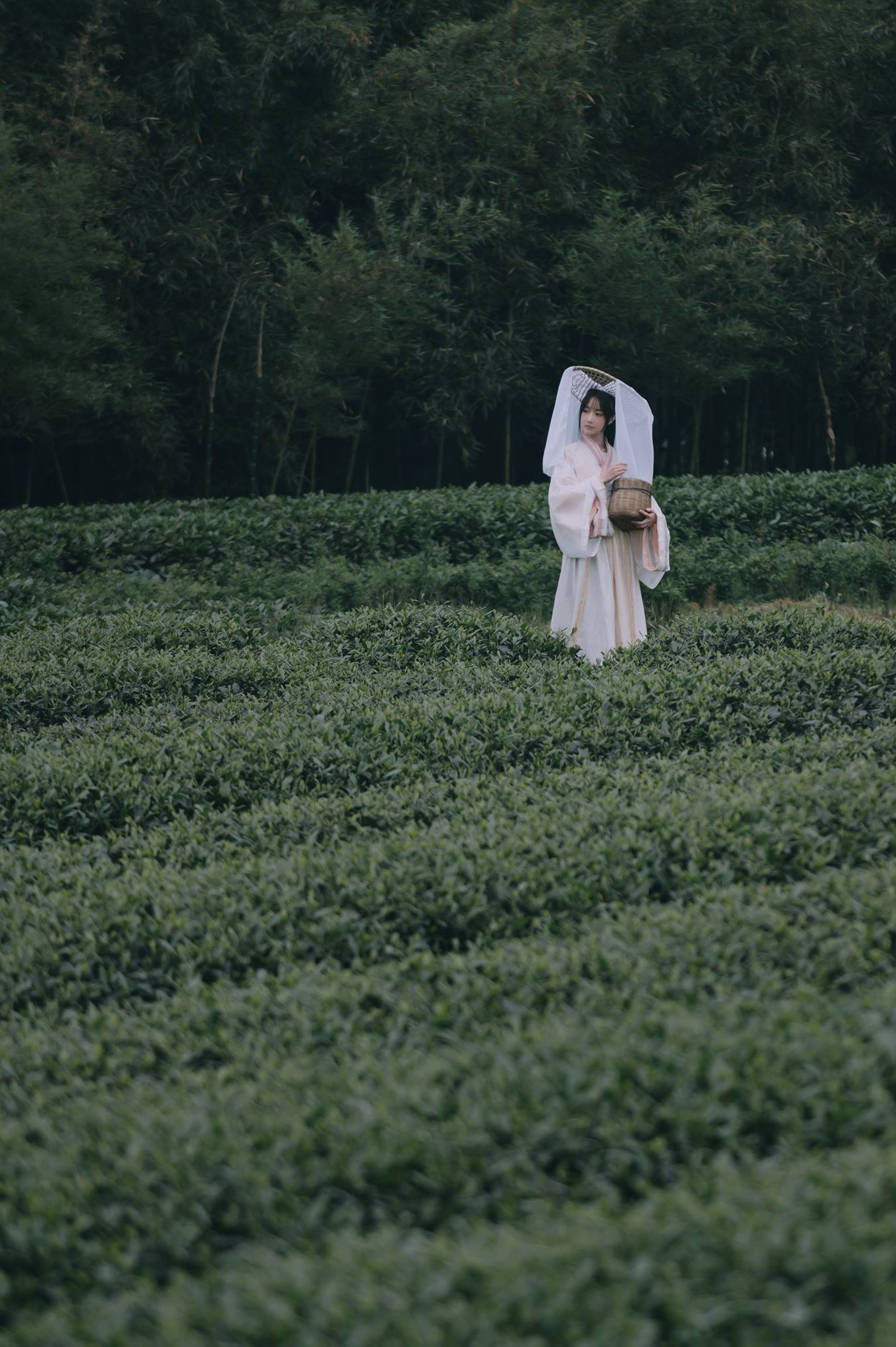 [YITUU艺图语] 2022.05.12 采茶东篱下 蹭饭 [20P/194MB]