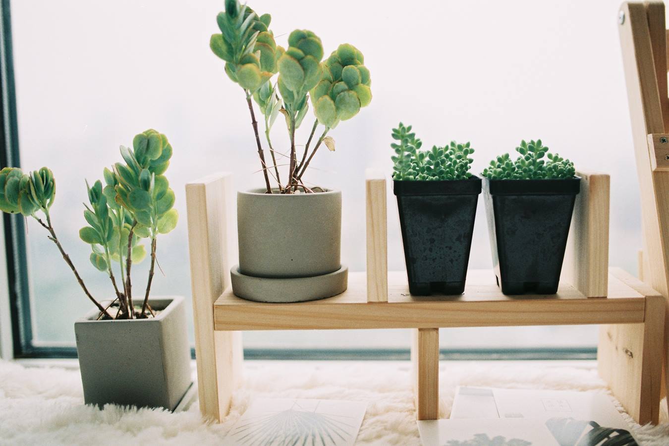 [YITUU艺图语] 2022.04.24 似夏未走 菀瑞 [22P/209MB]