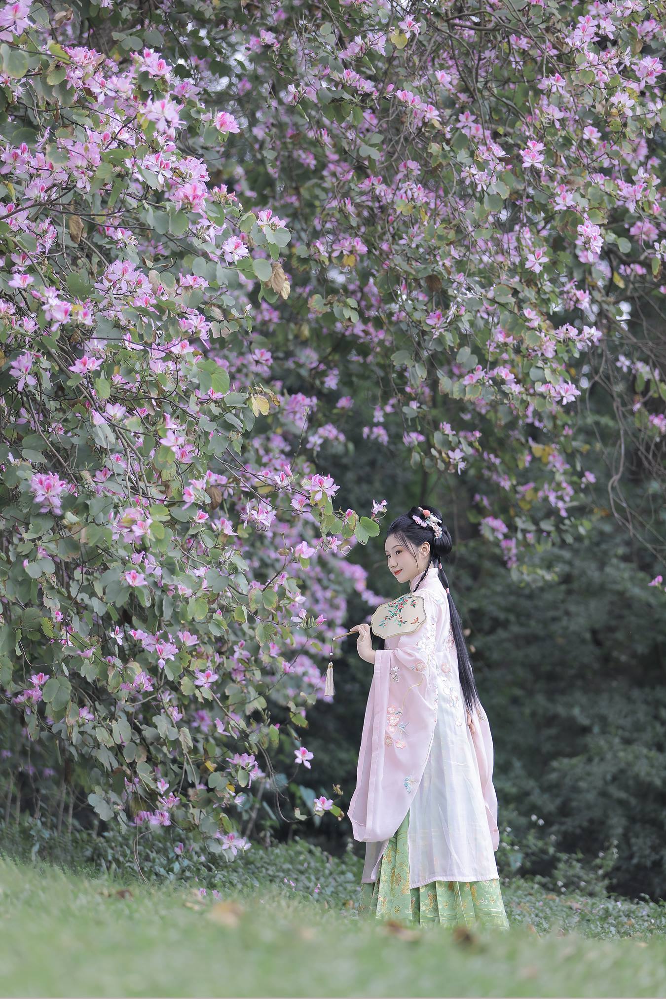 [YITUU艺图语] 2022.04.24 紫荆枝 木木 [23P/475MB]