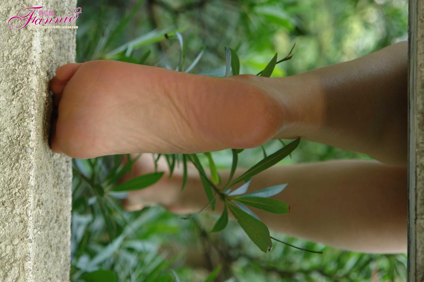 Fannie芬妮美足园 No.017美图 [149P/32MB]