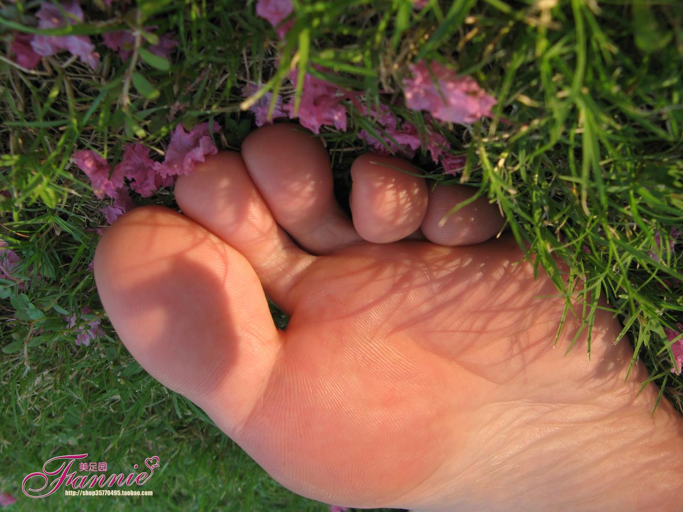 Fannie芬妮美足园 No.018 沾花惹草 [54P/156MB]