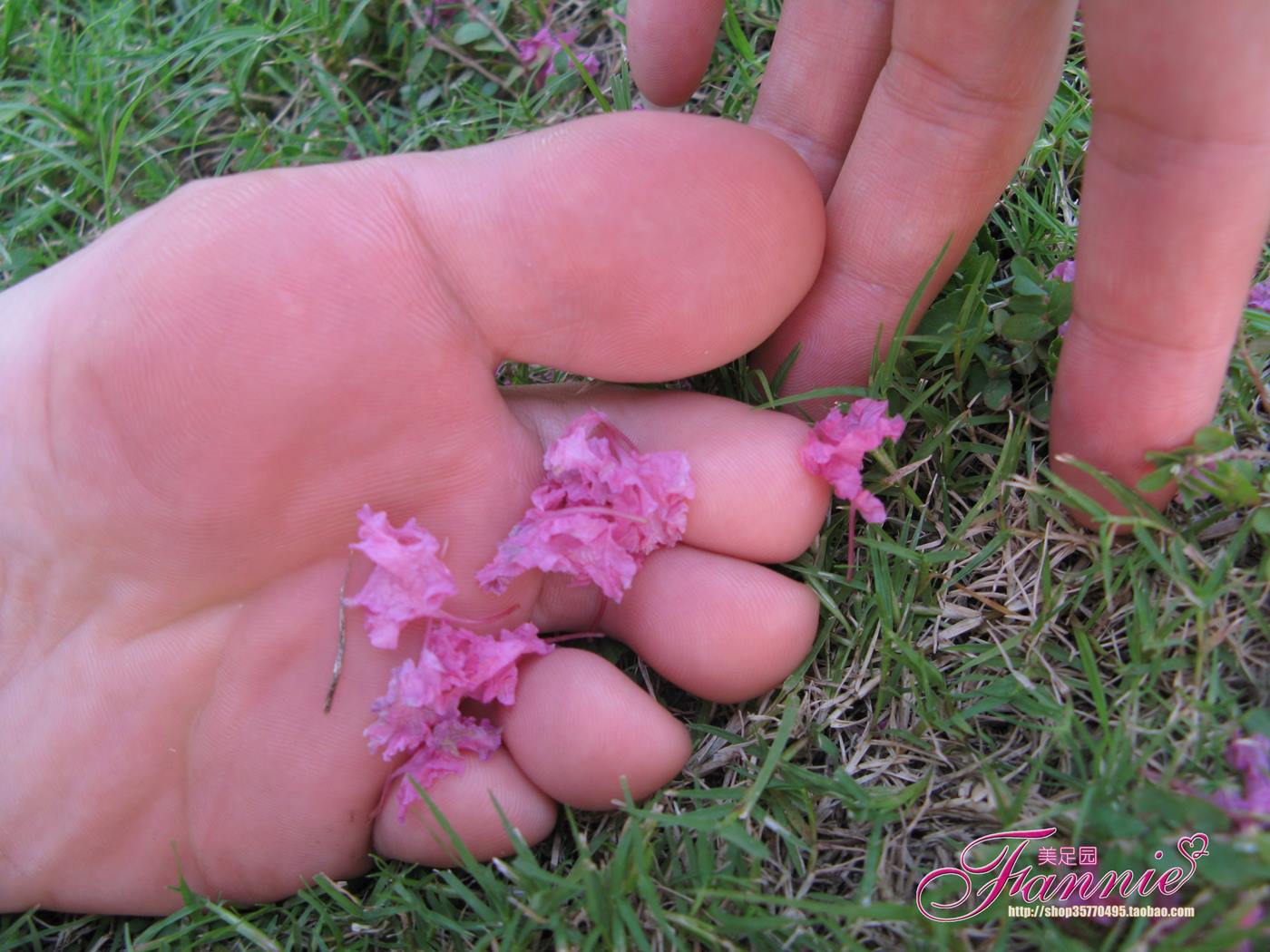 Fannie芬妮美足园 No.018 沾花惹草 [54P/156MB]