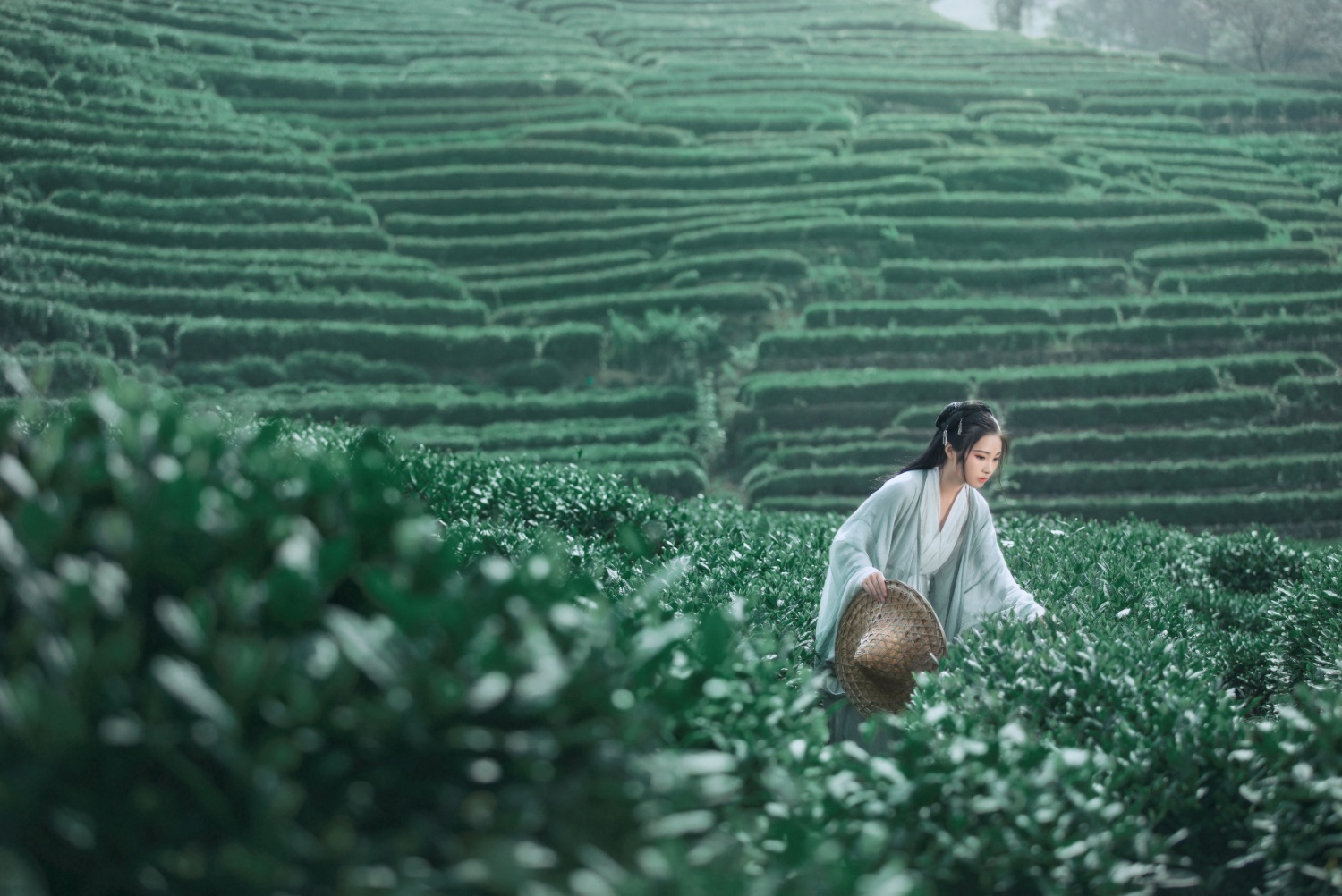 [YITUYU艺图语] 2022.05.26 茶山 一个白鹿 [32P/805MB]