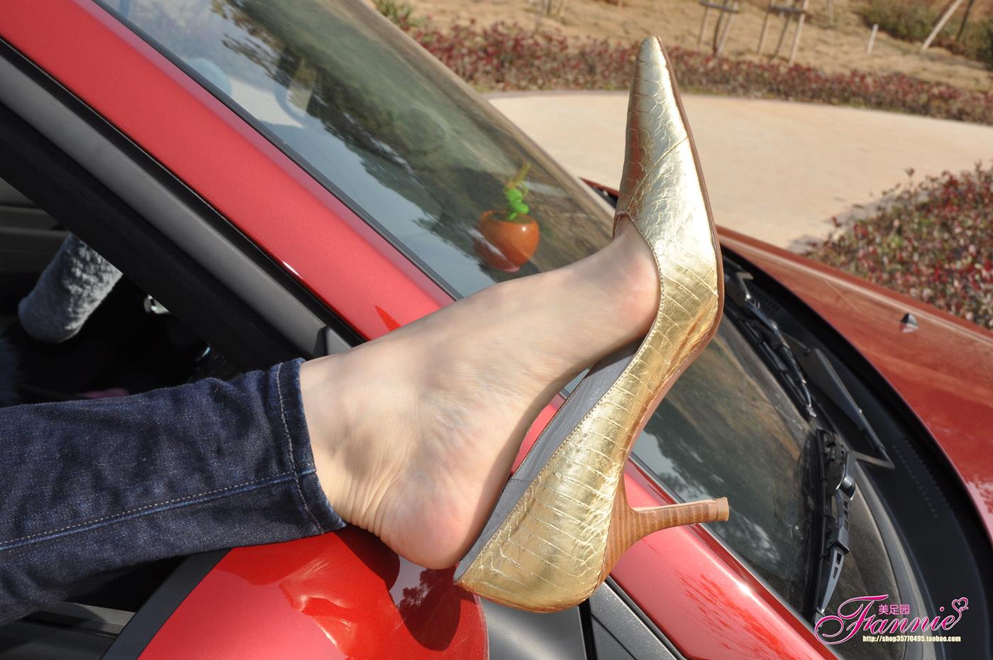 Fannie芬妮每足园 No.060 车窗外的风景1 [55P/170MB]