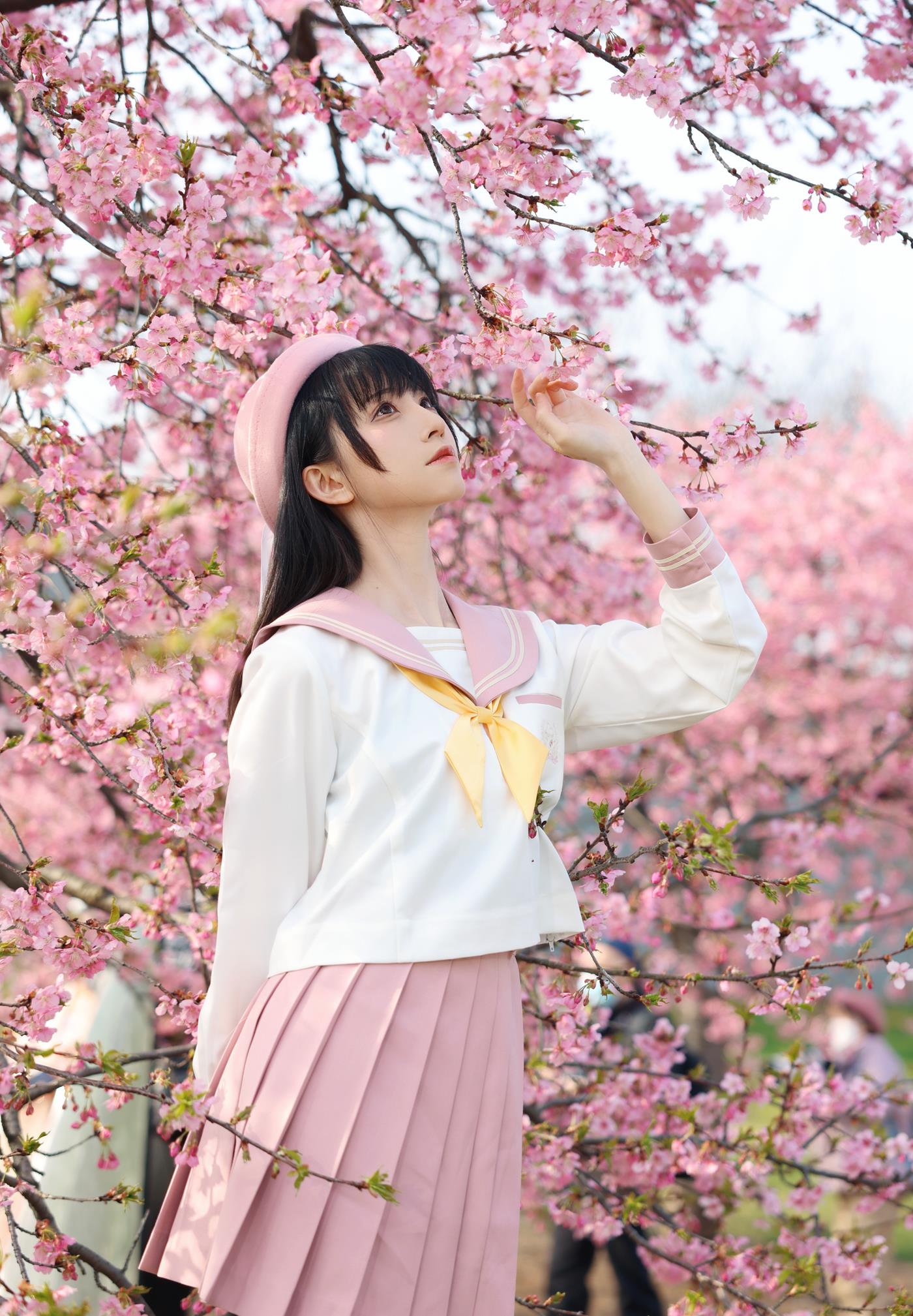 绮太郎Kitaro - 樱花[18P/94MB]