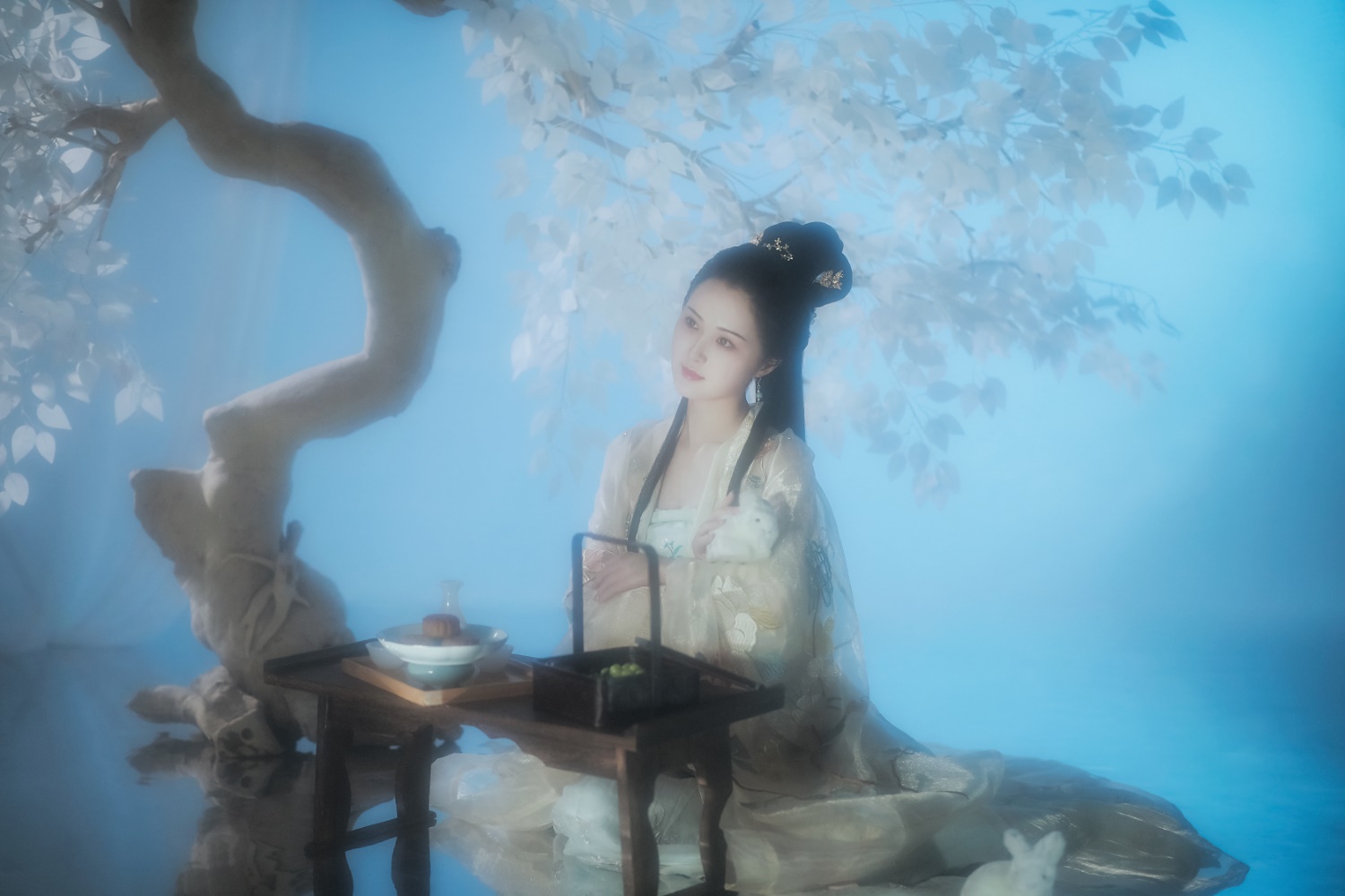 [YITUYU艺图语] 2022.05.27 广寒宫 鱿鱼阿姨 [25P/375MB]