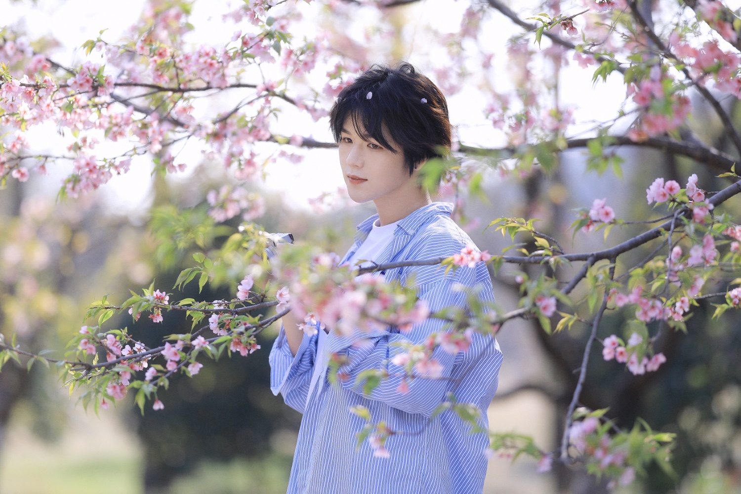 [YITUYU艺图语] 2022.05.29 樱花少年 李宇轩Yashon [23P/753MB]