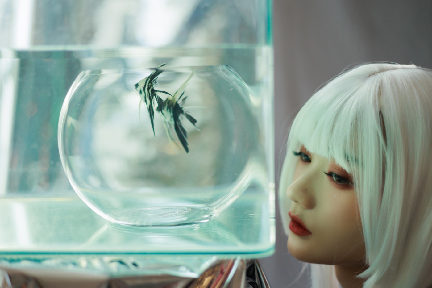 [YITUYU艺图语] 2022.06.19 白发姬 兔子Zzz不吃胡萝卜 [43P/510MB]