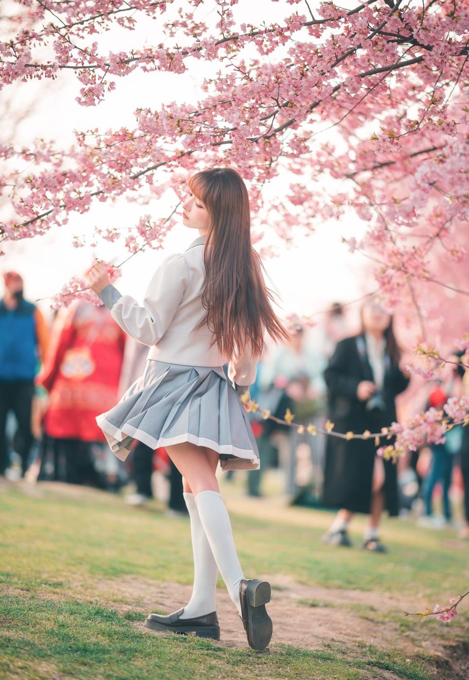 紫氯氯 - 樱花下的JK少女[18P/71MB]