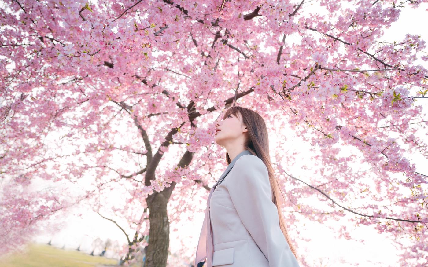 紫氯氯 - 樱花下的JK少女[18P/71MB]