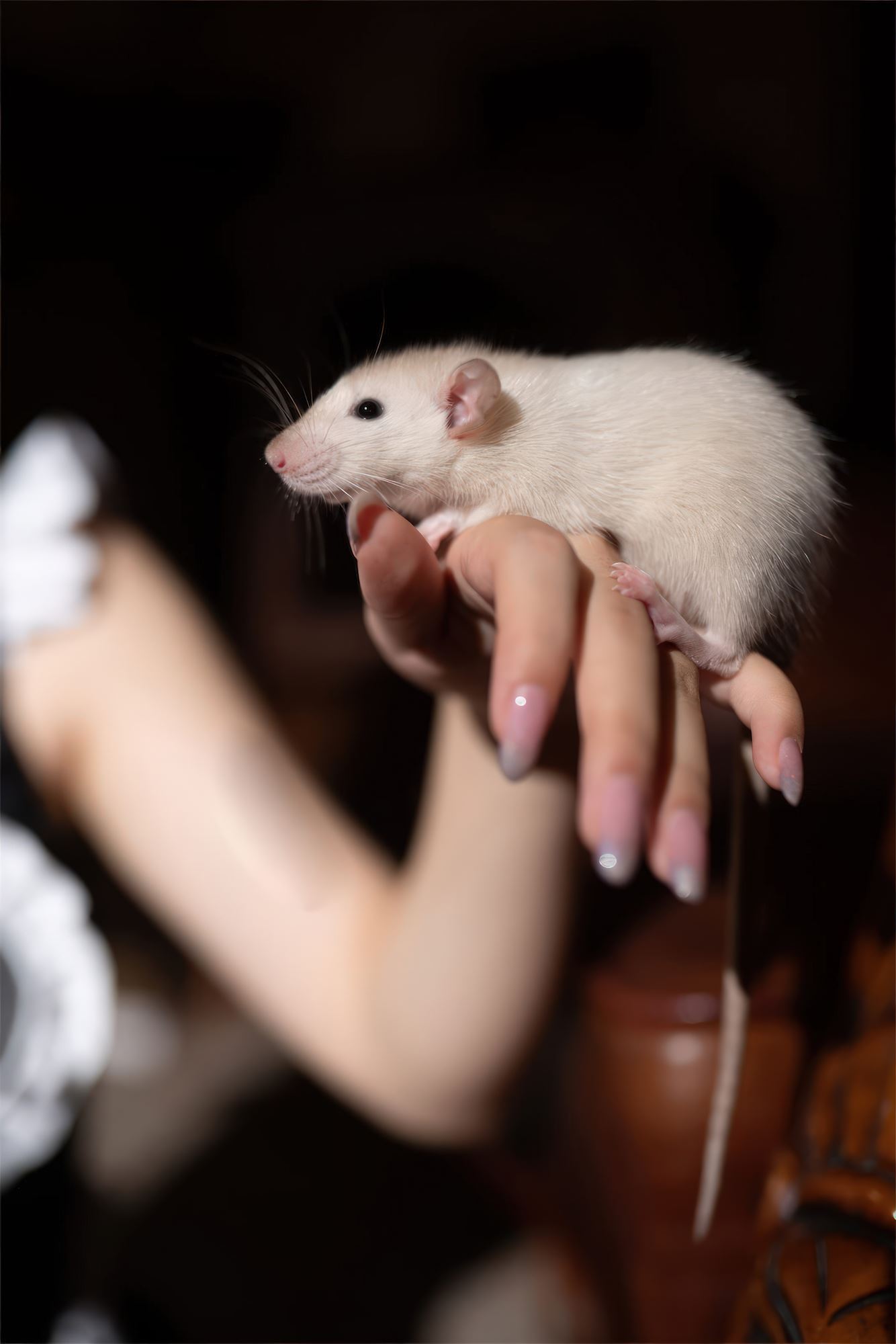 花铃 - 马戏团芭蕾 吊带袜高叉[43P/324MB]