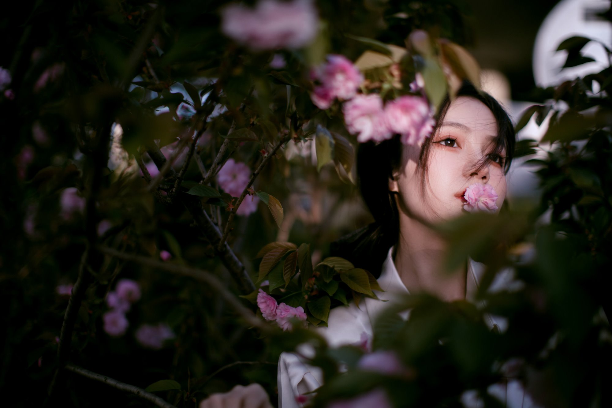 [YITUYU艺图语] 2022.07.13 花宴 夏芸是只小考拉 [22P/203M]