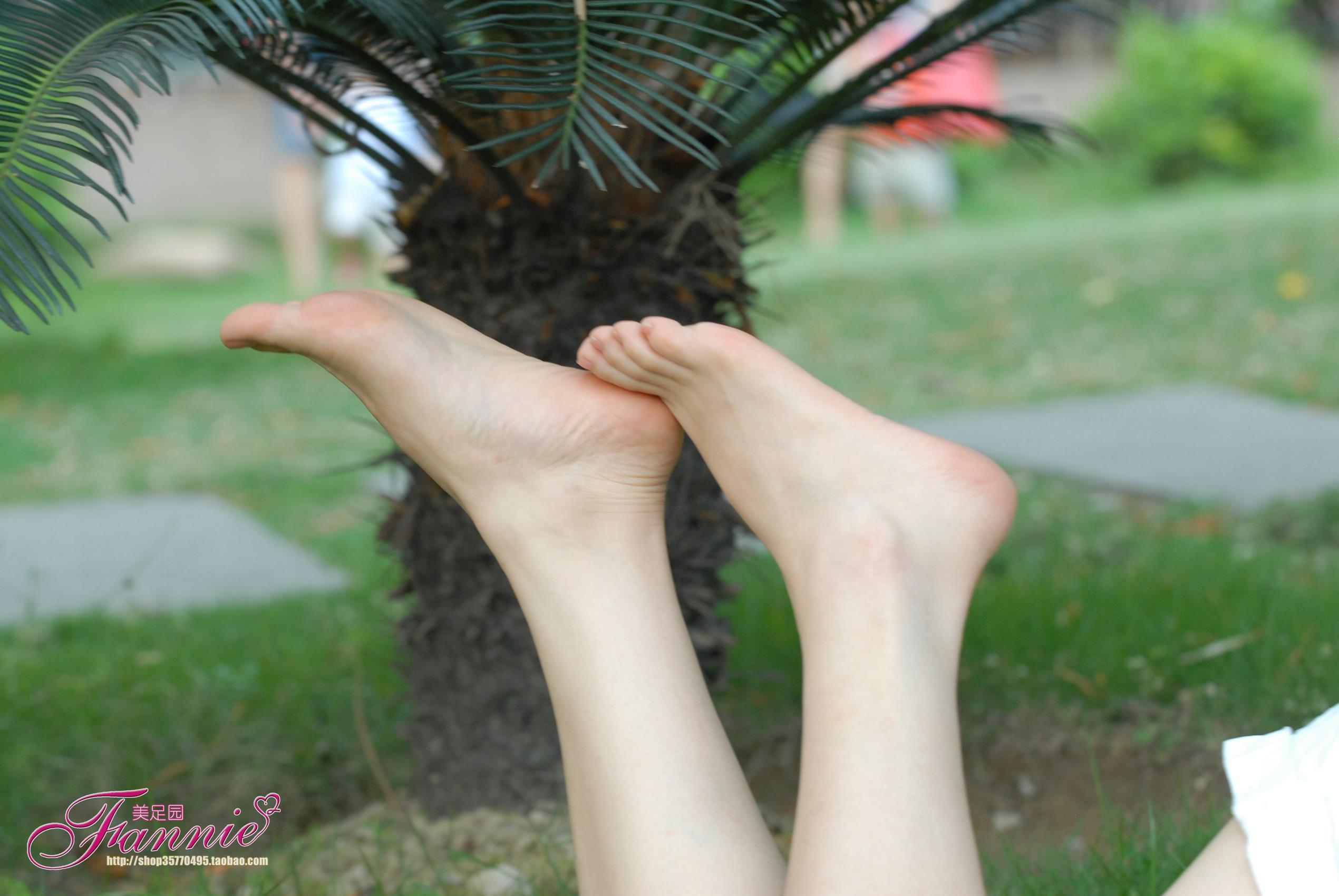 Fannie芬妮每足园 No.288 绿草如茵的家园 悠闲芳草绿 自在天地宽[16P/42MB]