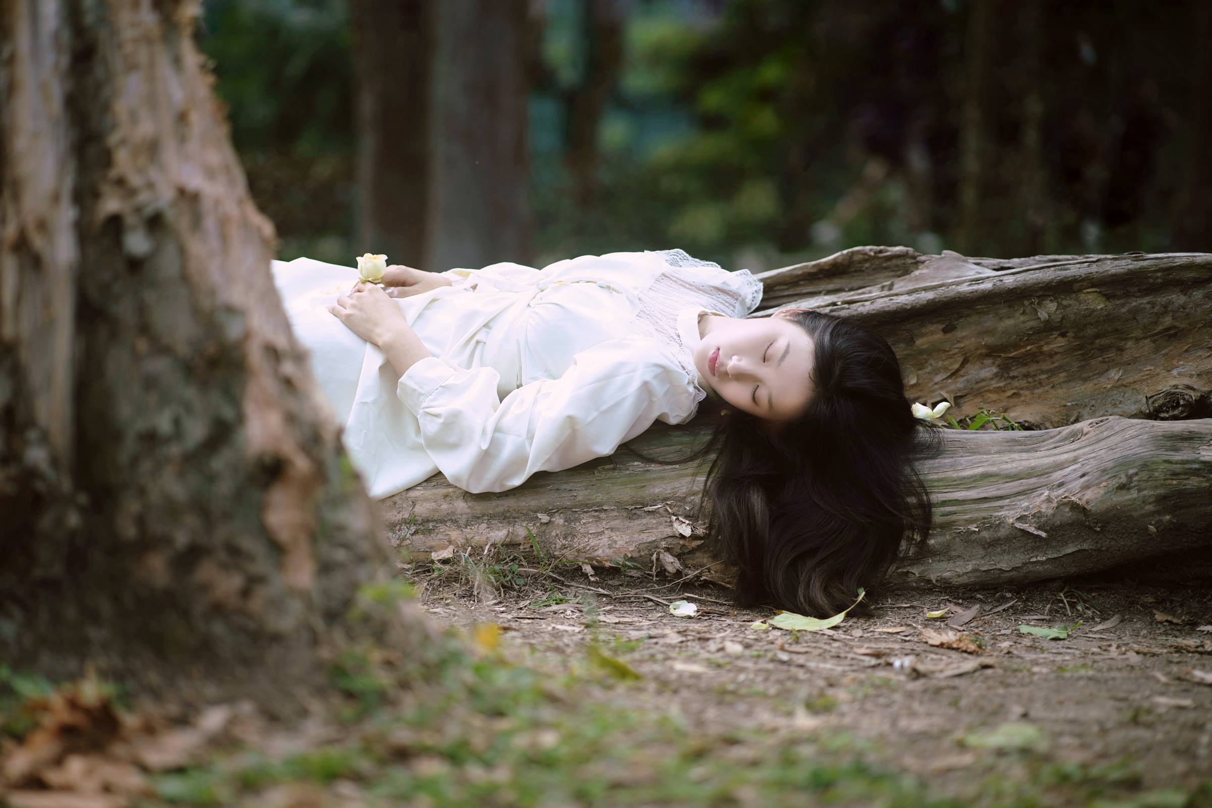 [YITUYU艺图语]2022.09.06 森林的画框 张张[28+1P/235MB]