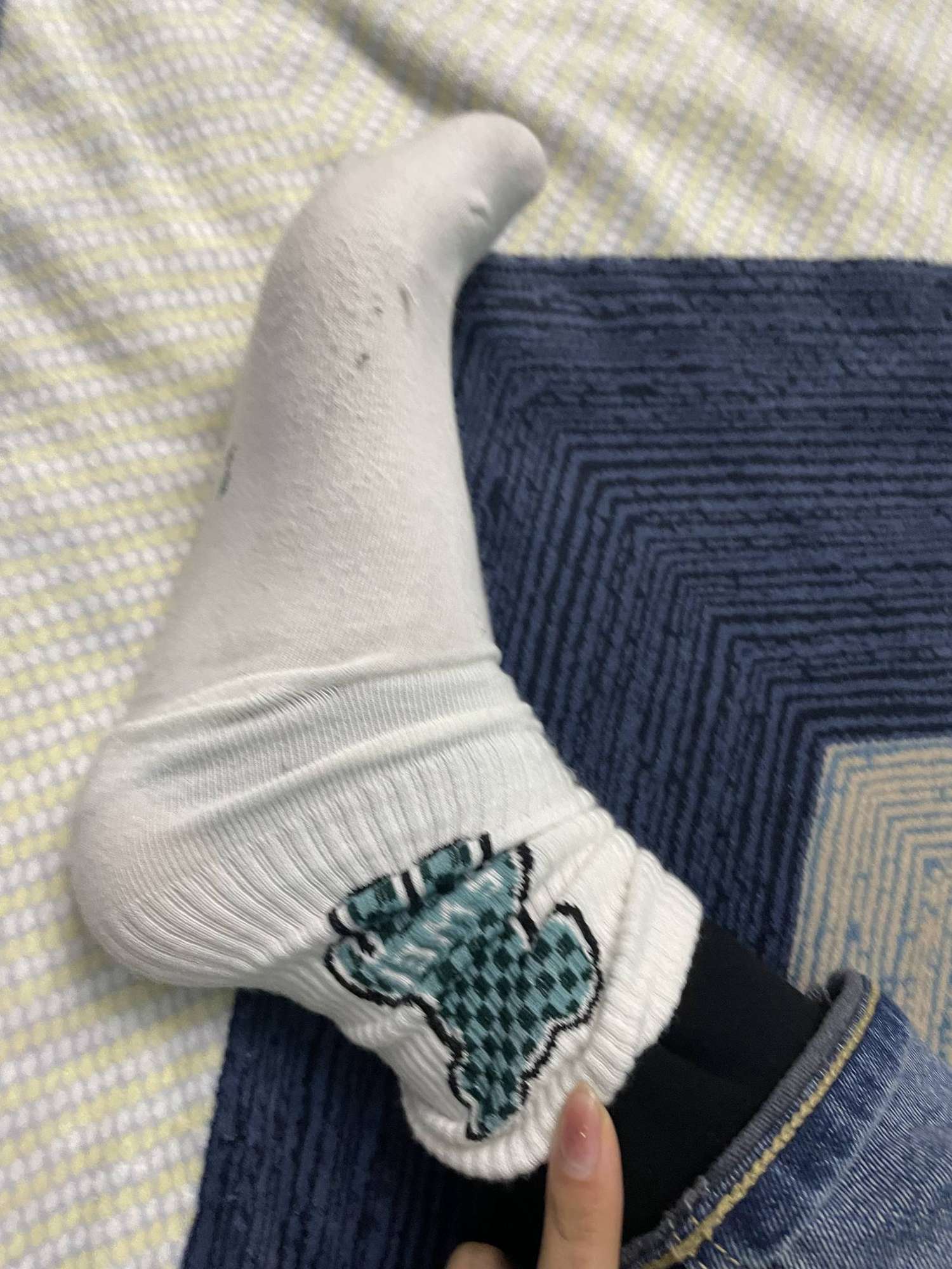 誉铭摄影《2023.1月份整合作品》[150P/7V/877MB]