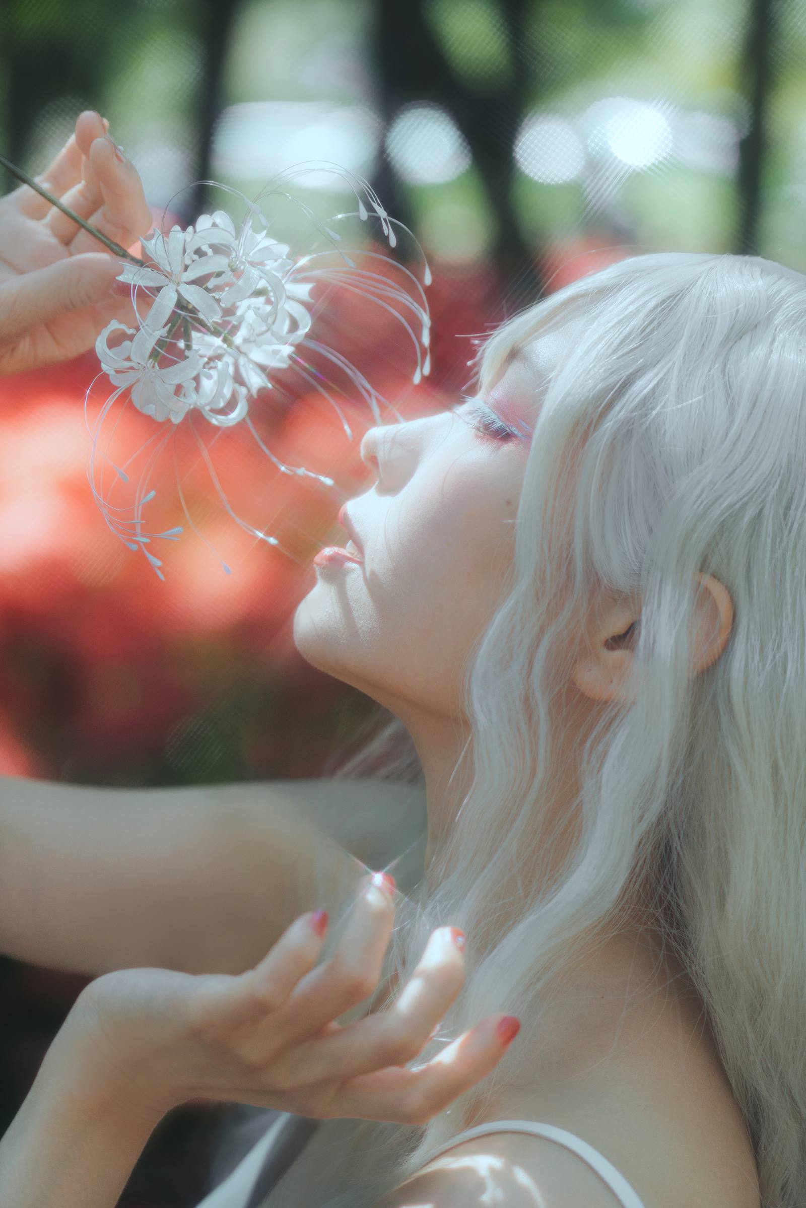 ElyEE子 B-White spider lily 白瓷彼岸 [27P/83MB]