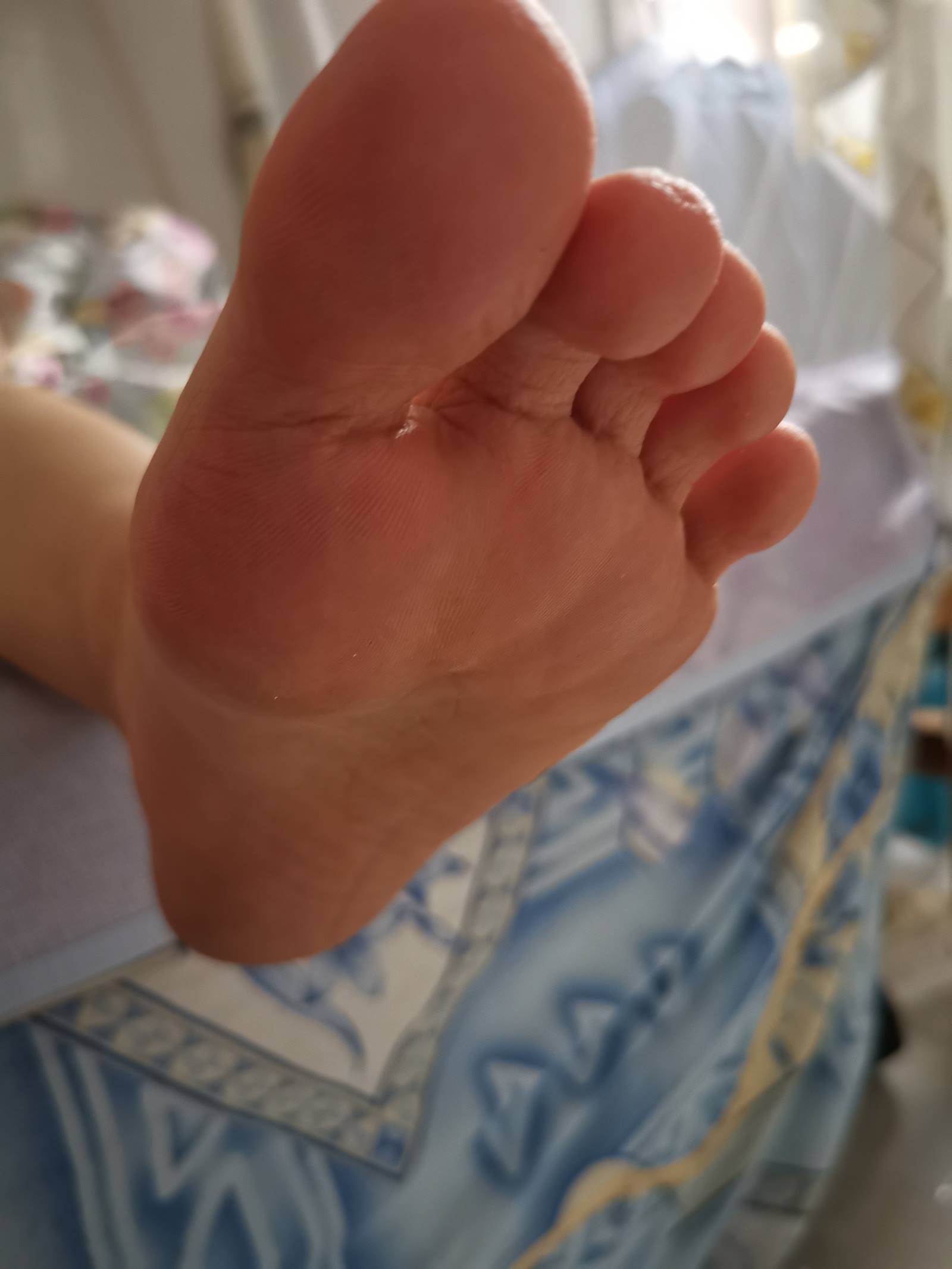 鱼鱼足影@012-第12期：长隆[54P/104MB]