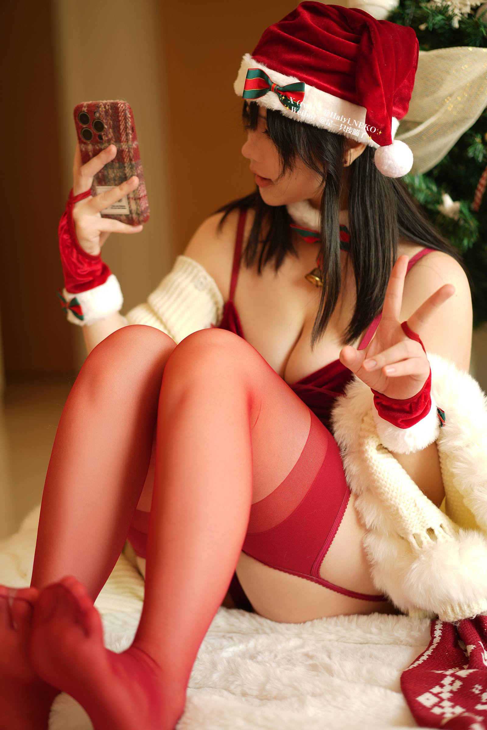 是一只废喵了 2023圣诞[45P/1V/134M]