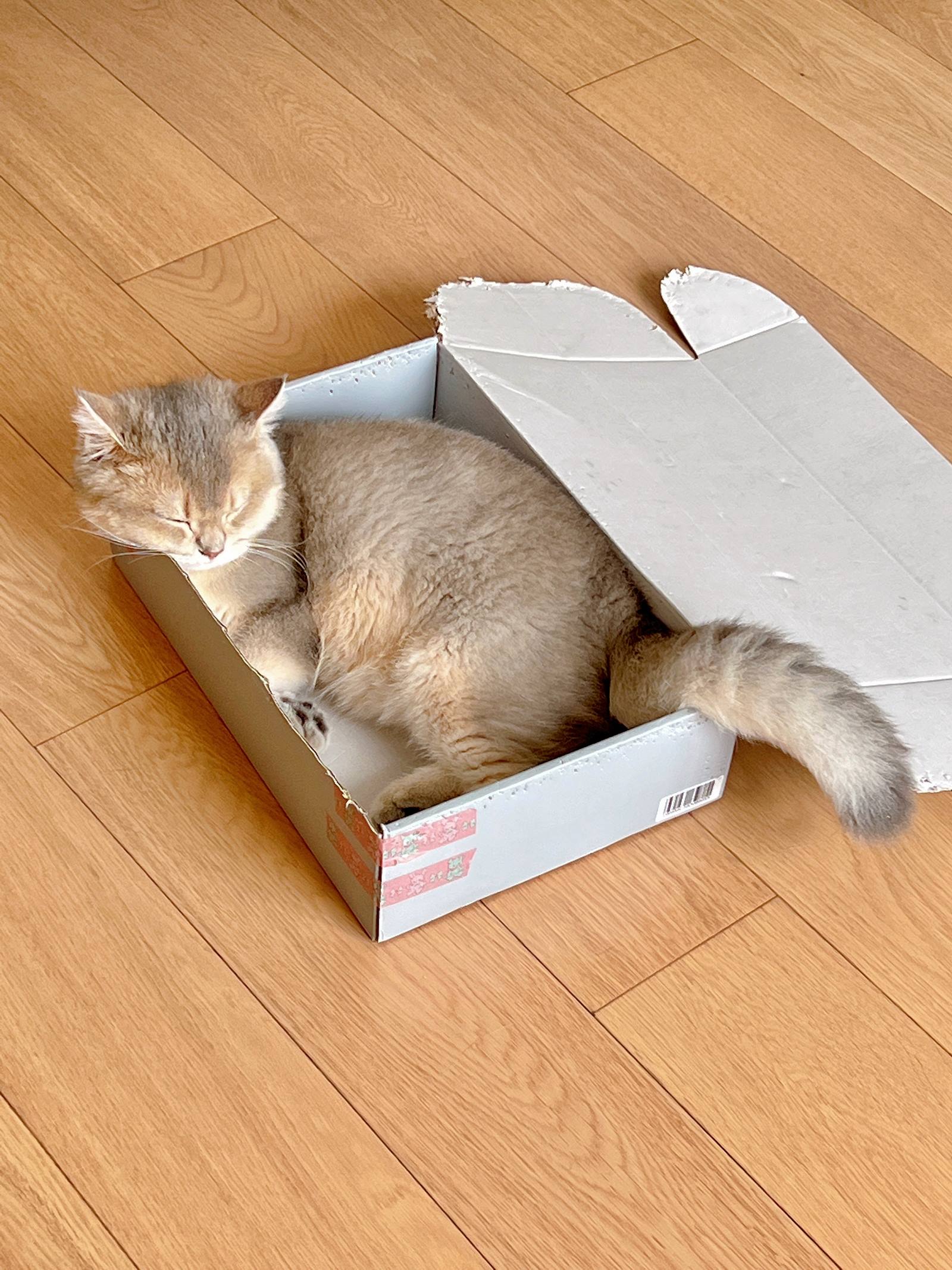 眼酱大魔王w - 2022年09月fantia会员合集[50P/193MB]