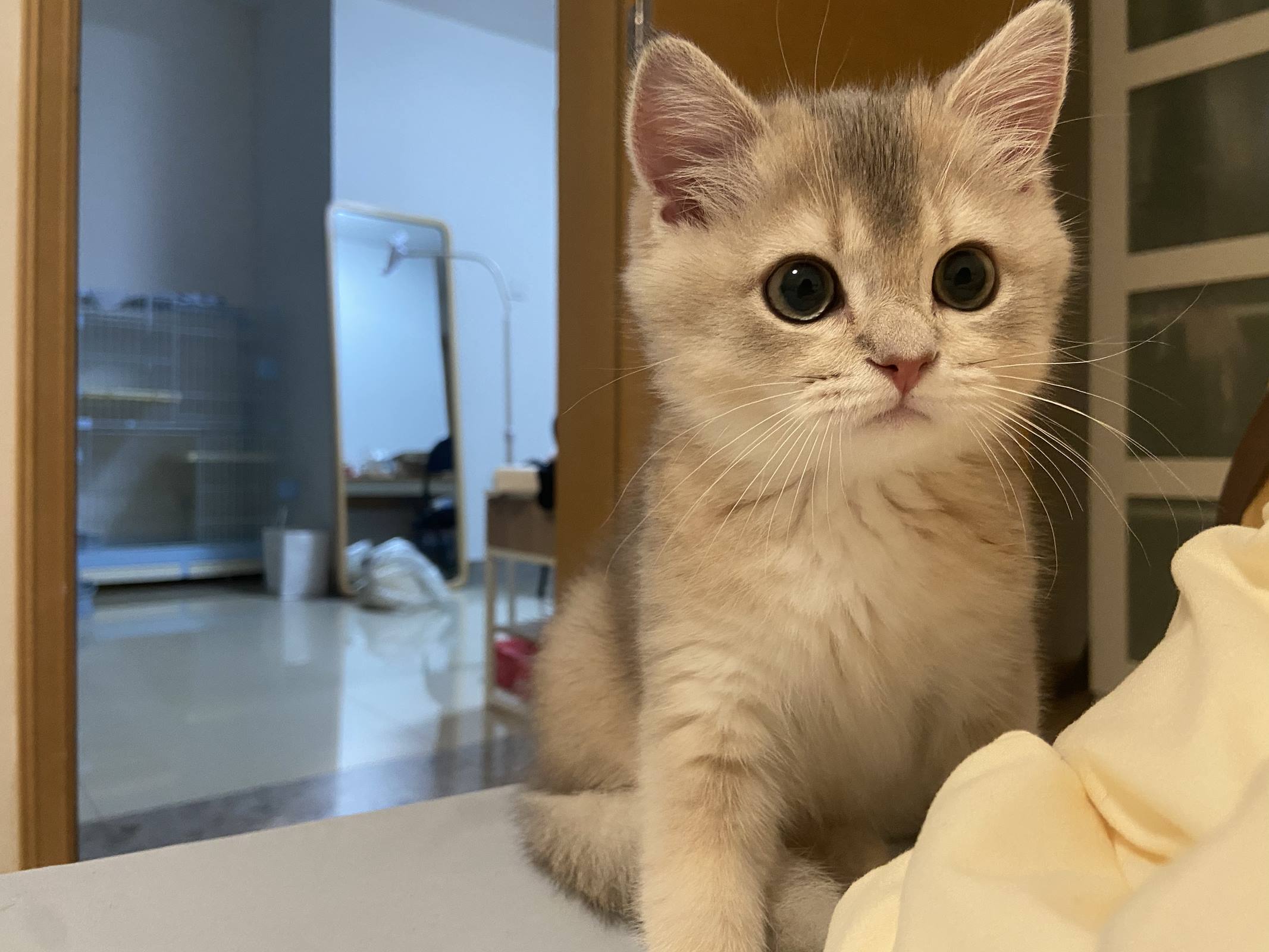 眼酱大魔王w - 2022年09月fantia会员合集[50P/193MB]