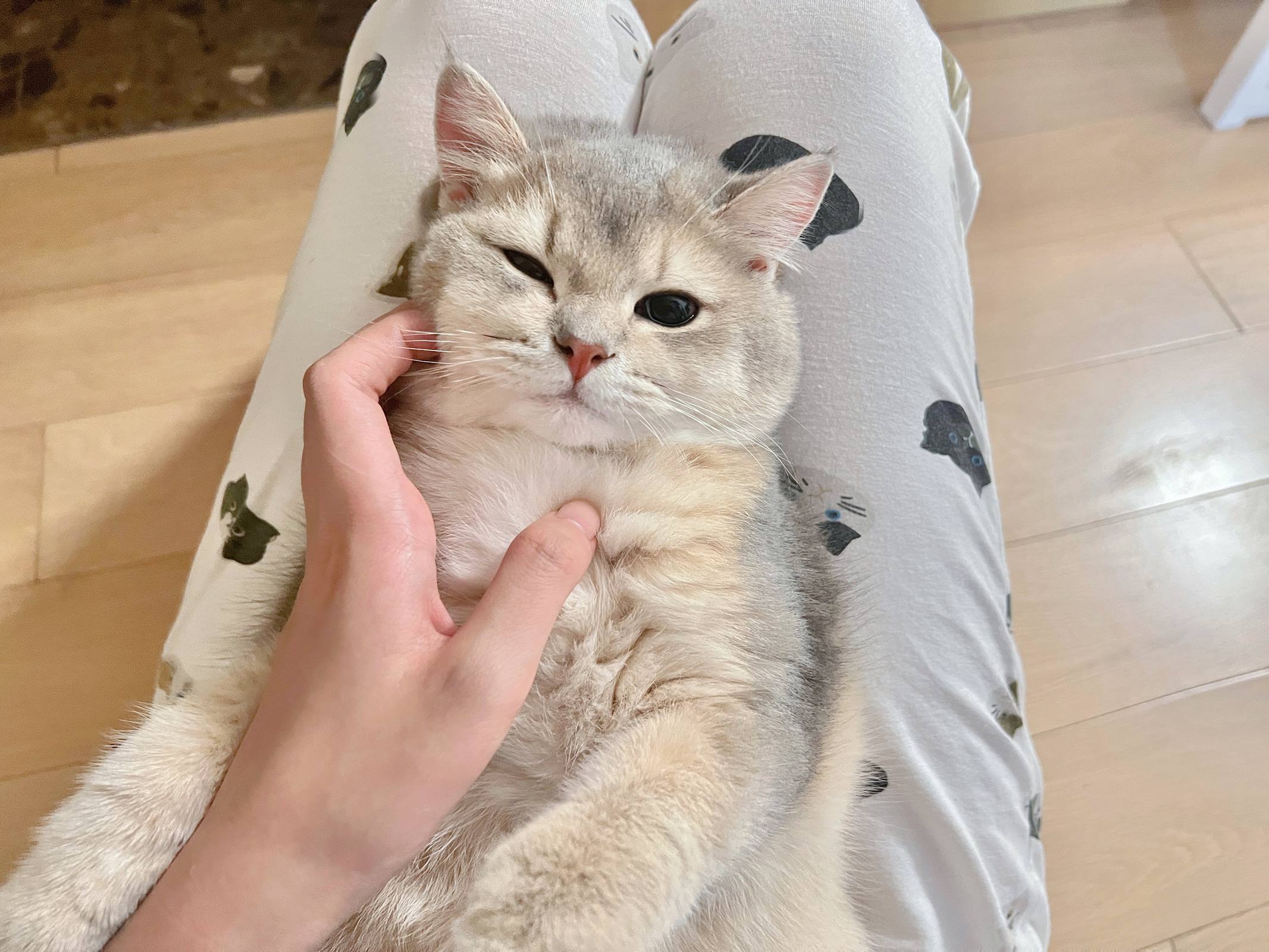 眼酱大魔王w - 2022年09月fantia会员合集[50P/193MB]